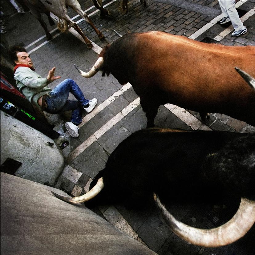 Man in jeans and trainers falls backwards as he avoids three charging bulls on a cobblestone street. Top-down perspective captures the chaos of the scene.