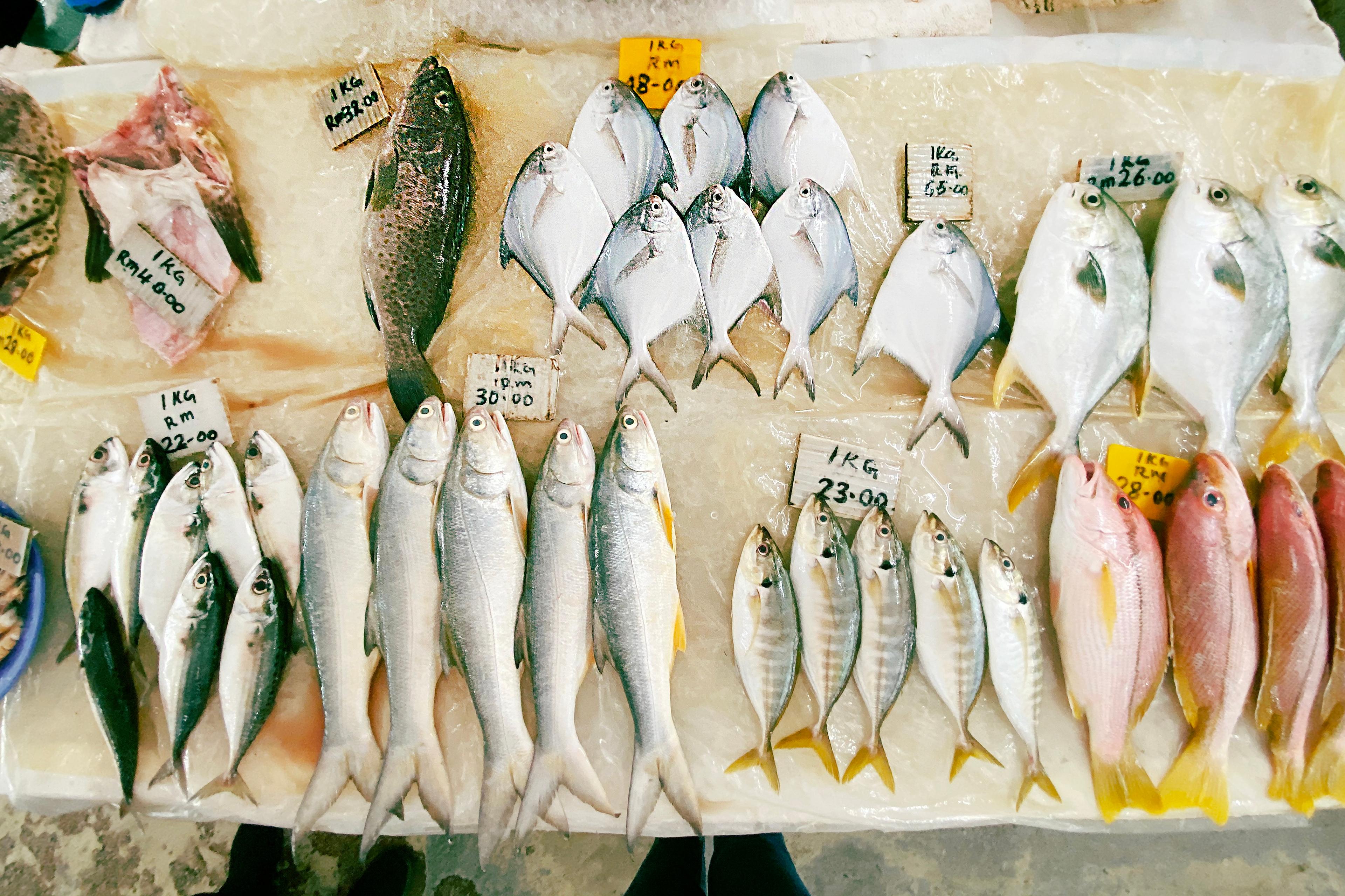 Photo of a market stall with various fish types displayed on ice, each with a price tag indicating cost per kilogram.