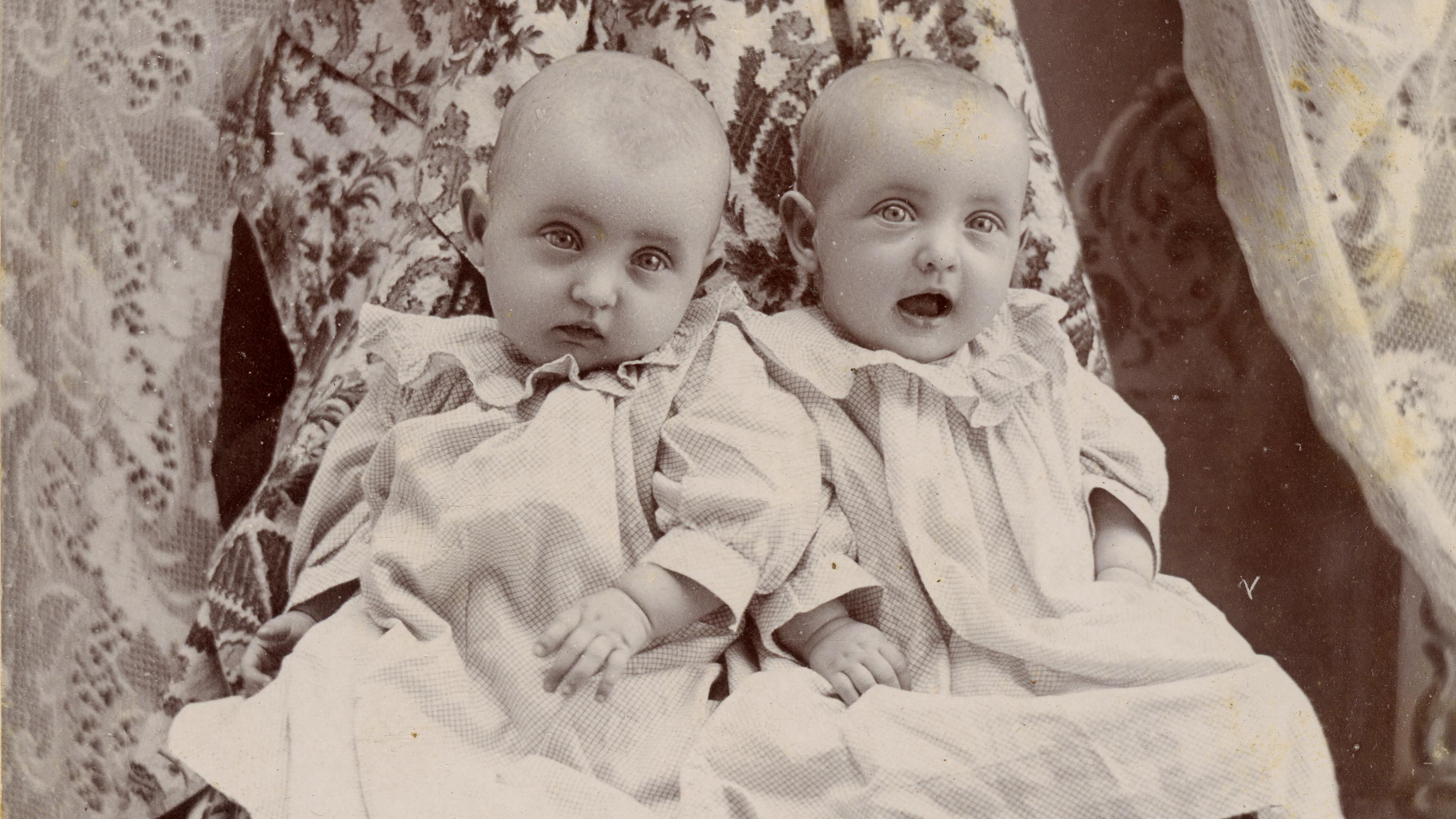 Vintage photo of two babies sitting on a hidden caretaker draped in floral fabric with lace curtain backdrop, Addington, Indiana.