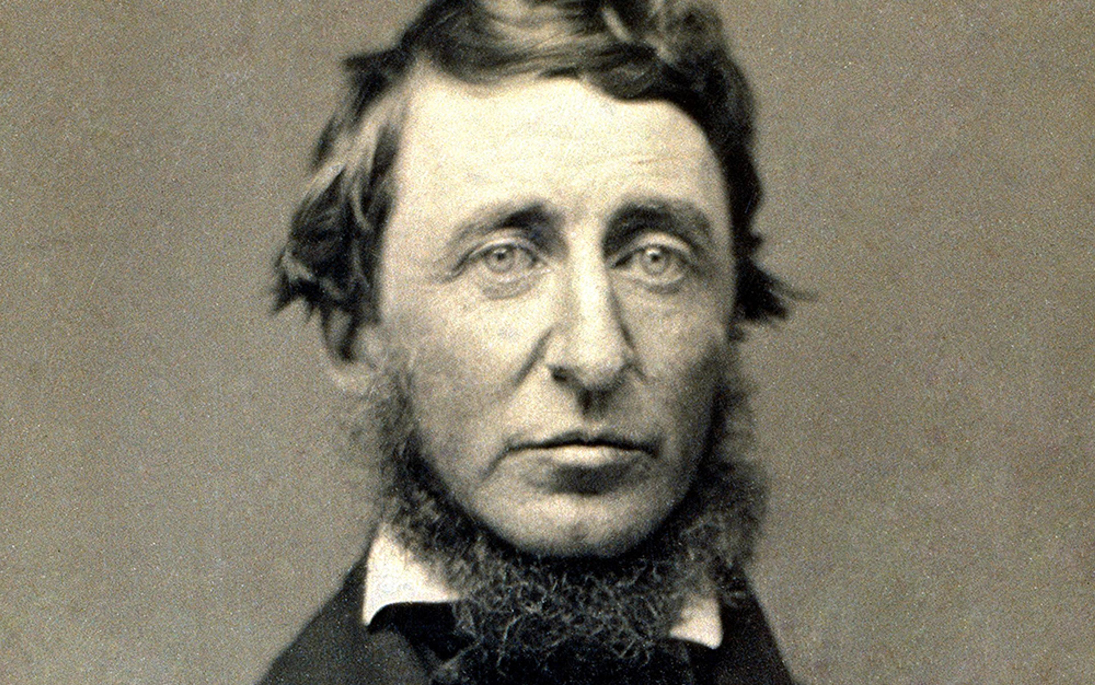 <p>Thoreau in 1856/Wikimedia</p>