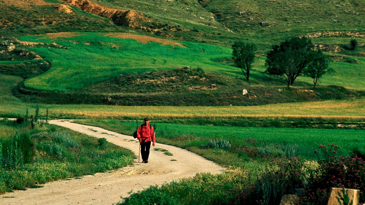 A person wearing a red jacket and a backpack walking on a winding path through lush green fields with hills and trees in the background.