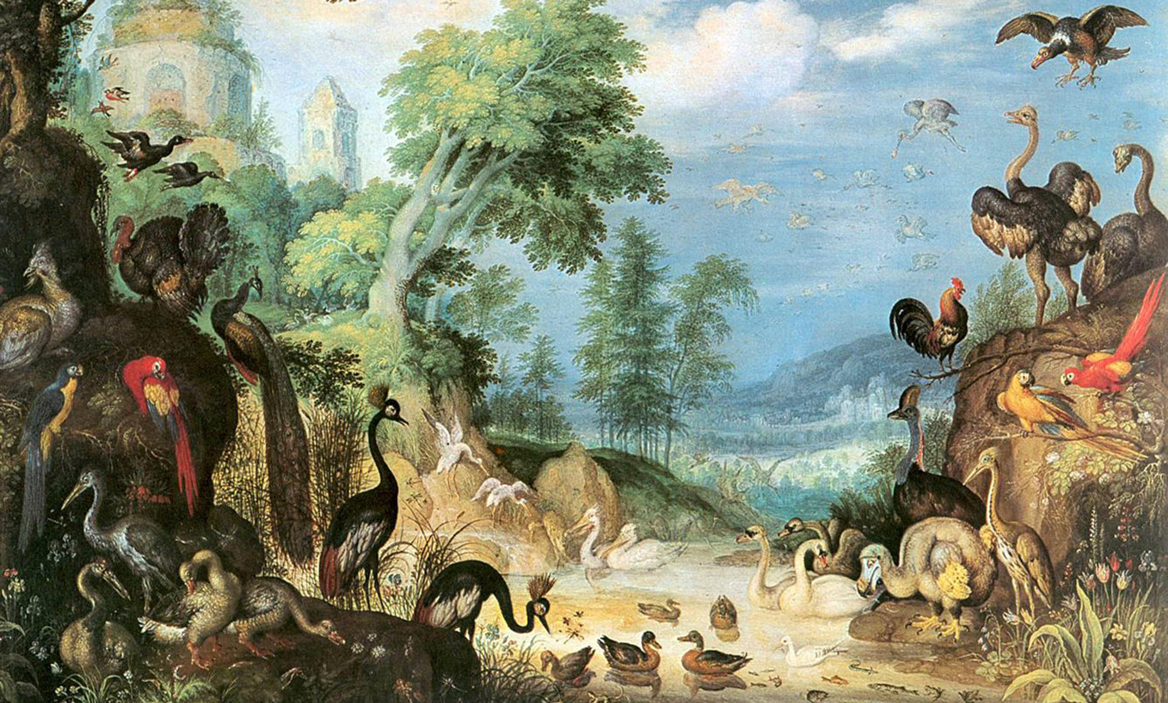 Painting of a lush forest clearing with diverse birds including peacocks, ostriches, swans and parrots amid trees and greenery.