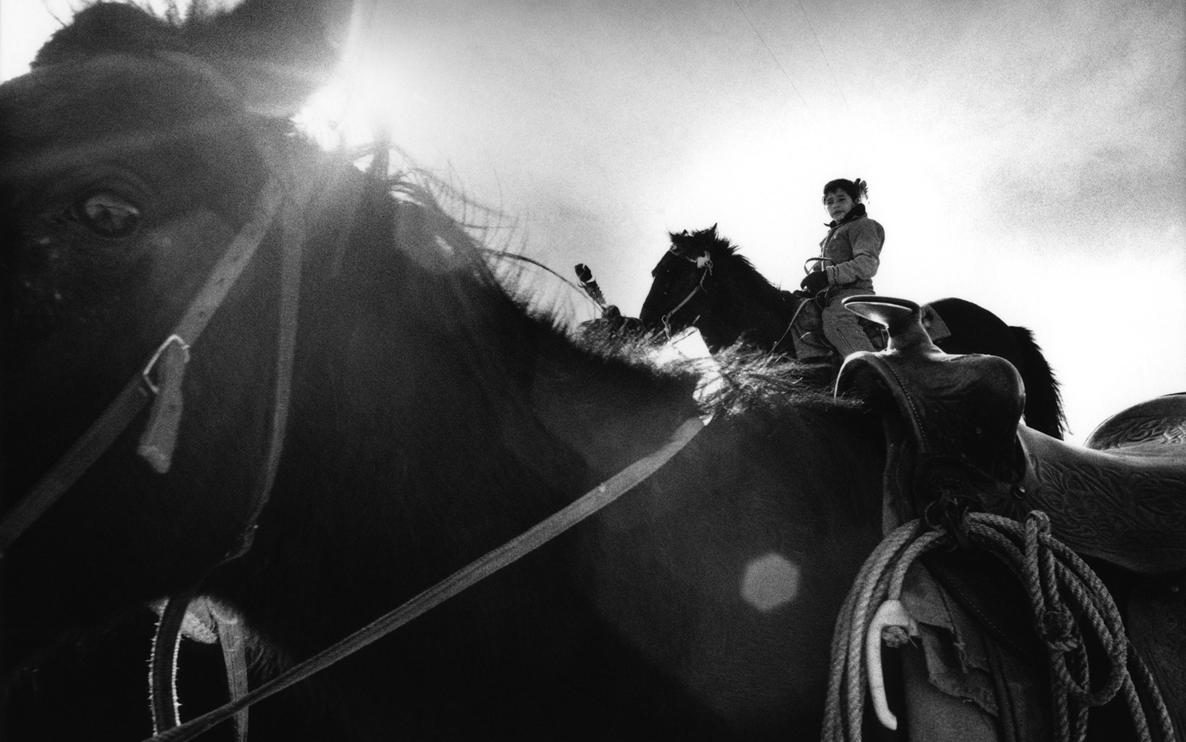 A black-and-white photo of a person riding a horse in, with a close-up of another horse in the foreground under bright sunlight.