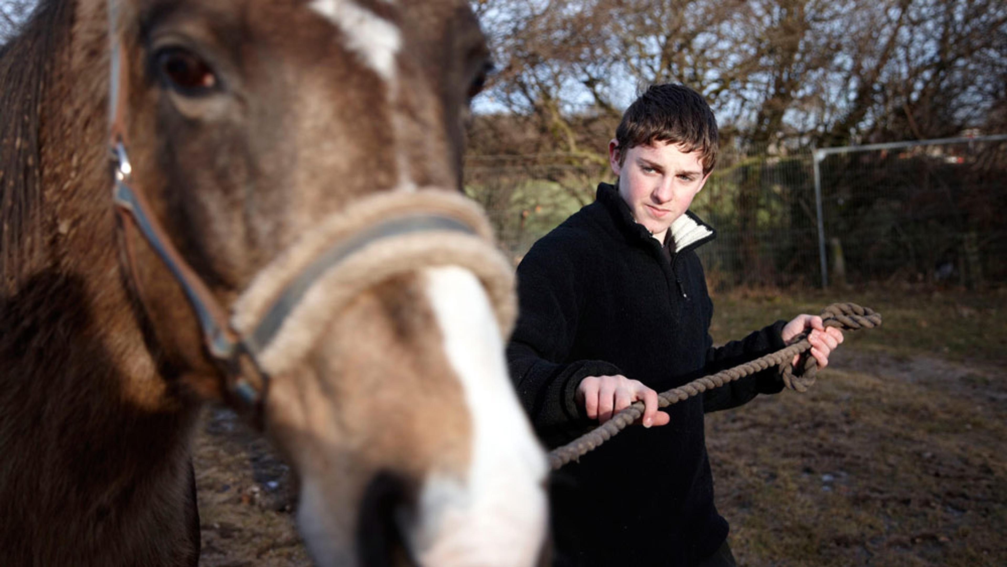 A boy in a black jacket holding a rope attached to a brown horse. The background shows some trees and a fence.