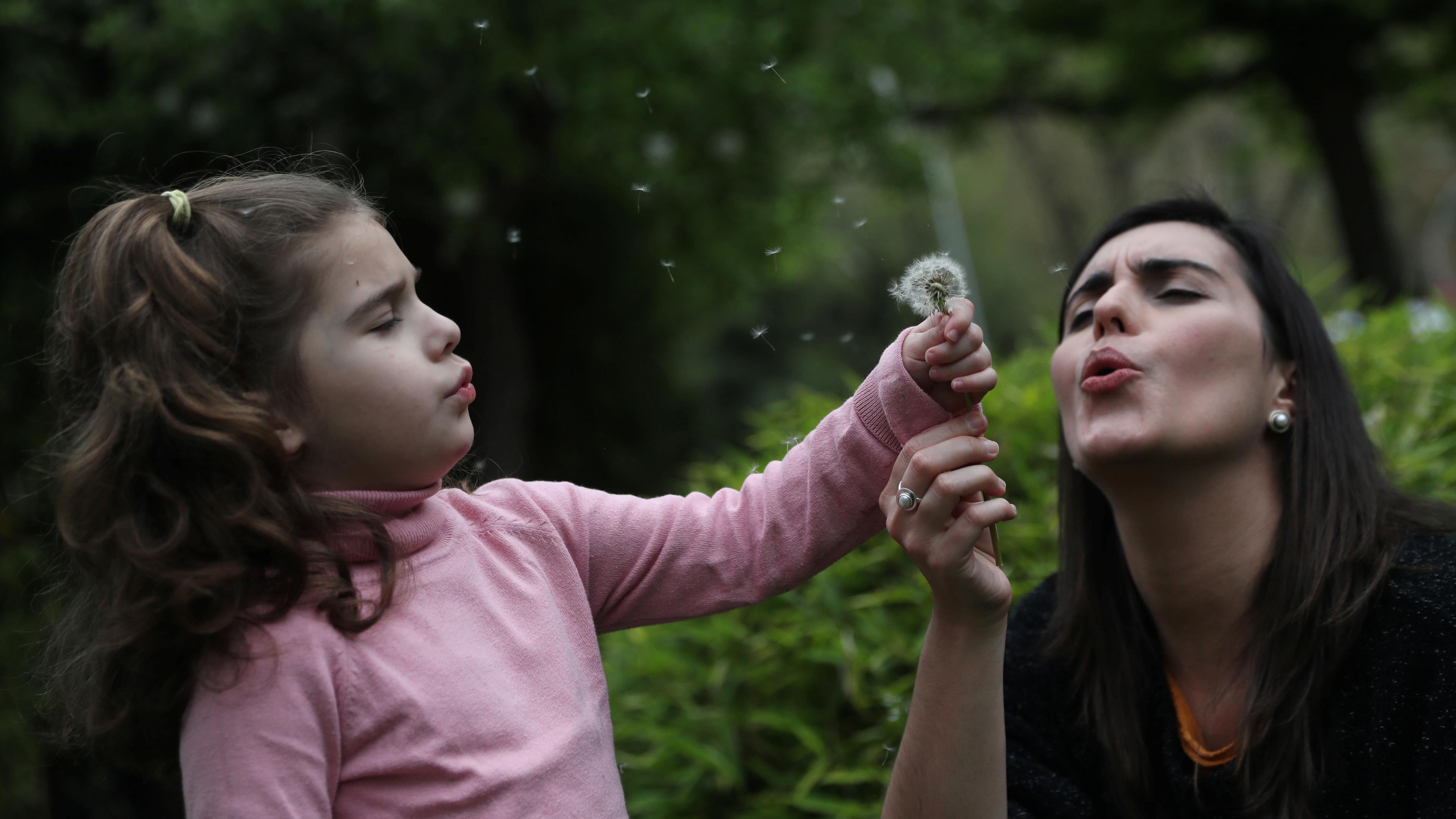 Photo of a child and adult blowing dandelion seeds in a green outdoor setting, both looking joyful and focused.