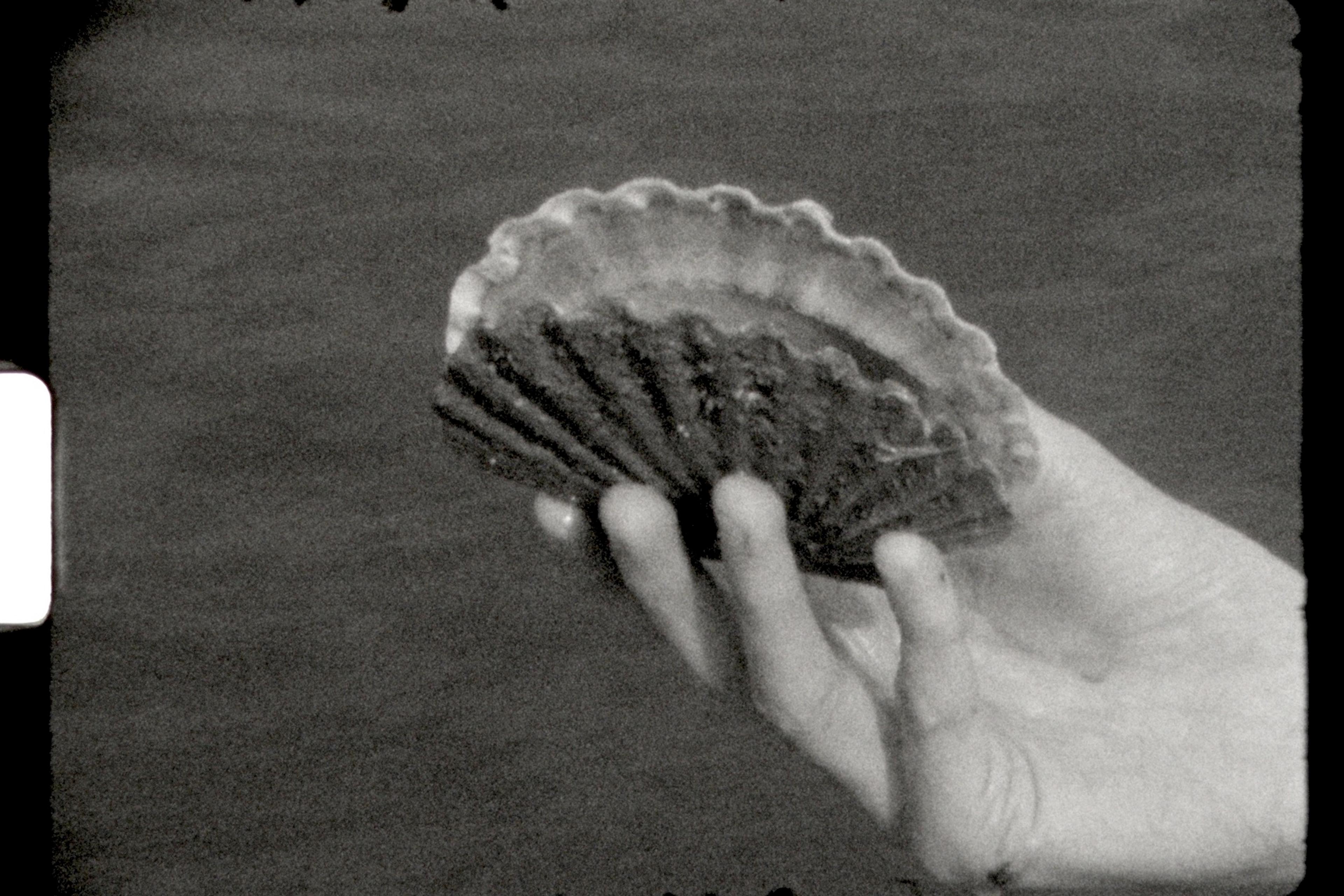 Black and white photo of a hand holding a scallop shell. The background is blurred and the shell shows detailed texture.