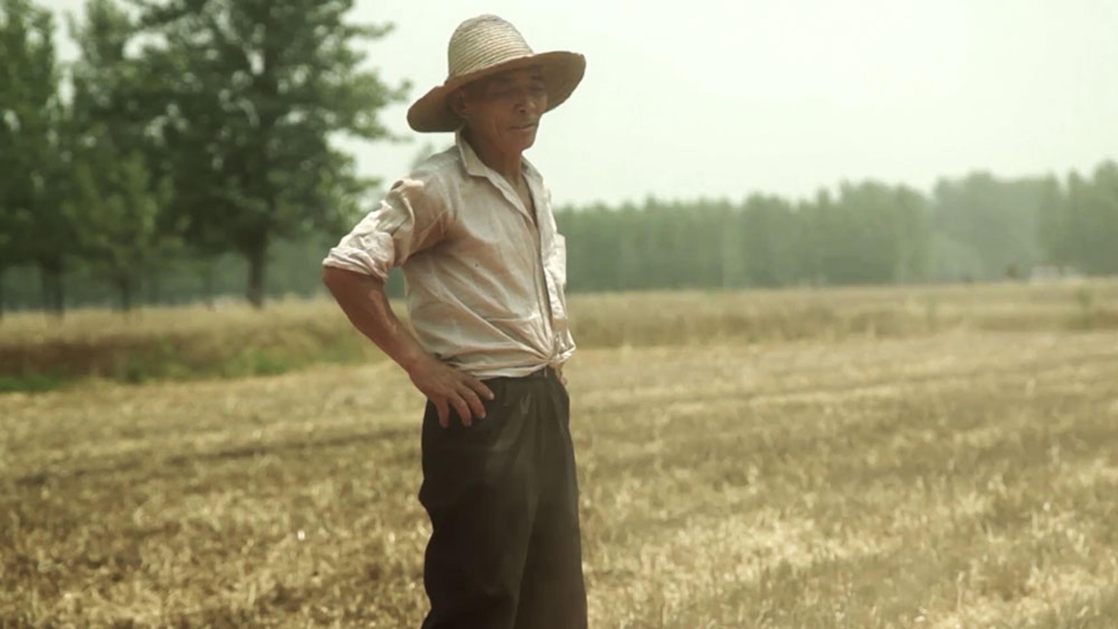 A farmer wearing a straw hat standing in a field, with trees in the background on a hazy day.