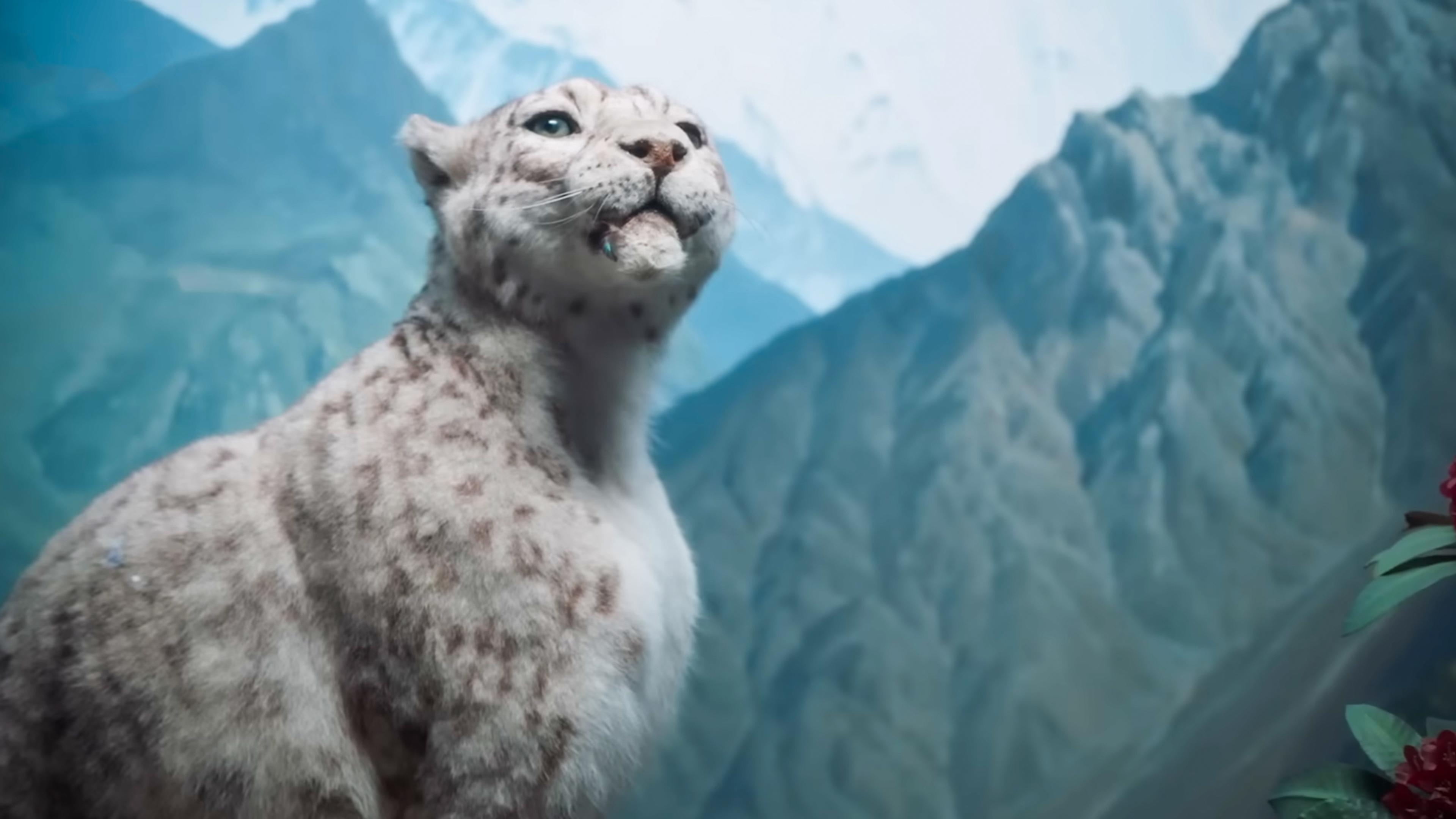 Photo of a snow leopard looking up with a mountainous background and some foliage in the foreground.