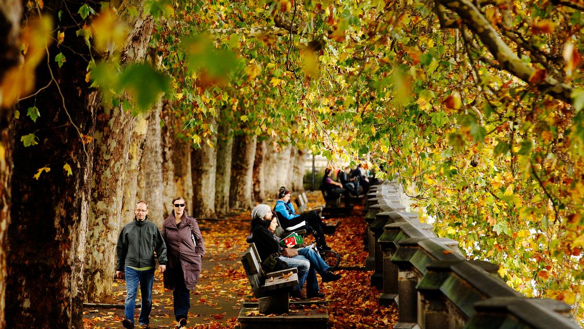 A tree-lined path in autumn with people walking and sitting on benches, covered by colourful foliage.