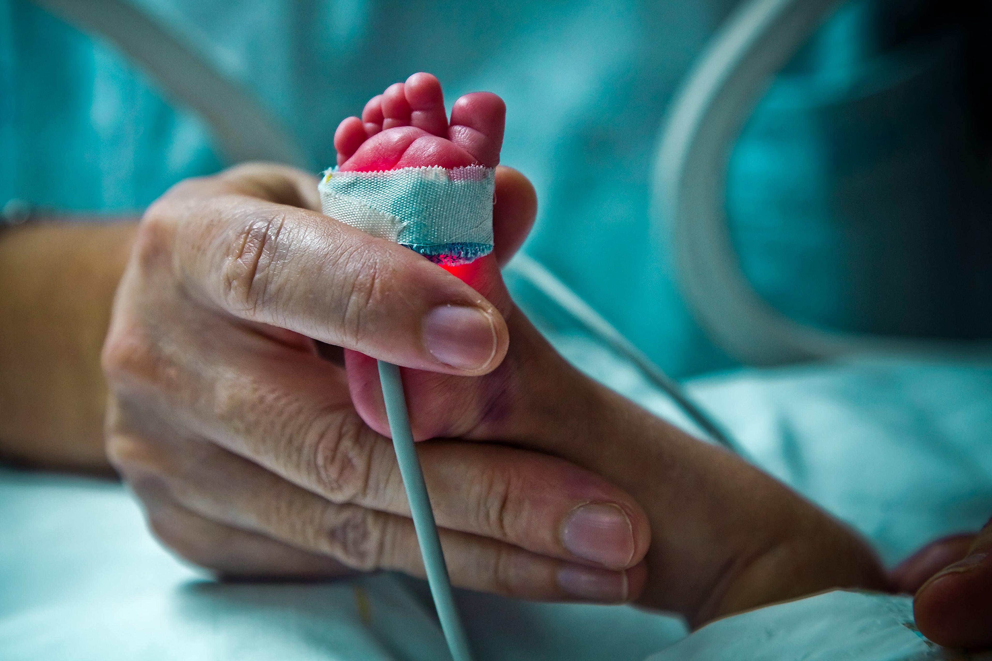An adult hand holding a premature baby’s tiny foot in a hospital incubator, with a medical sensor bandaged to the baby’s foot.