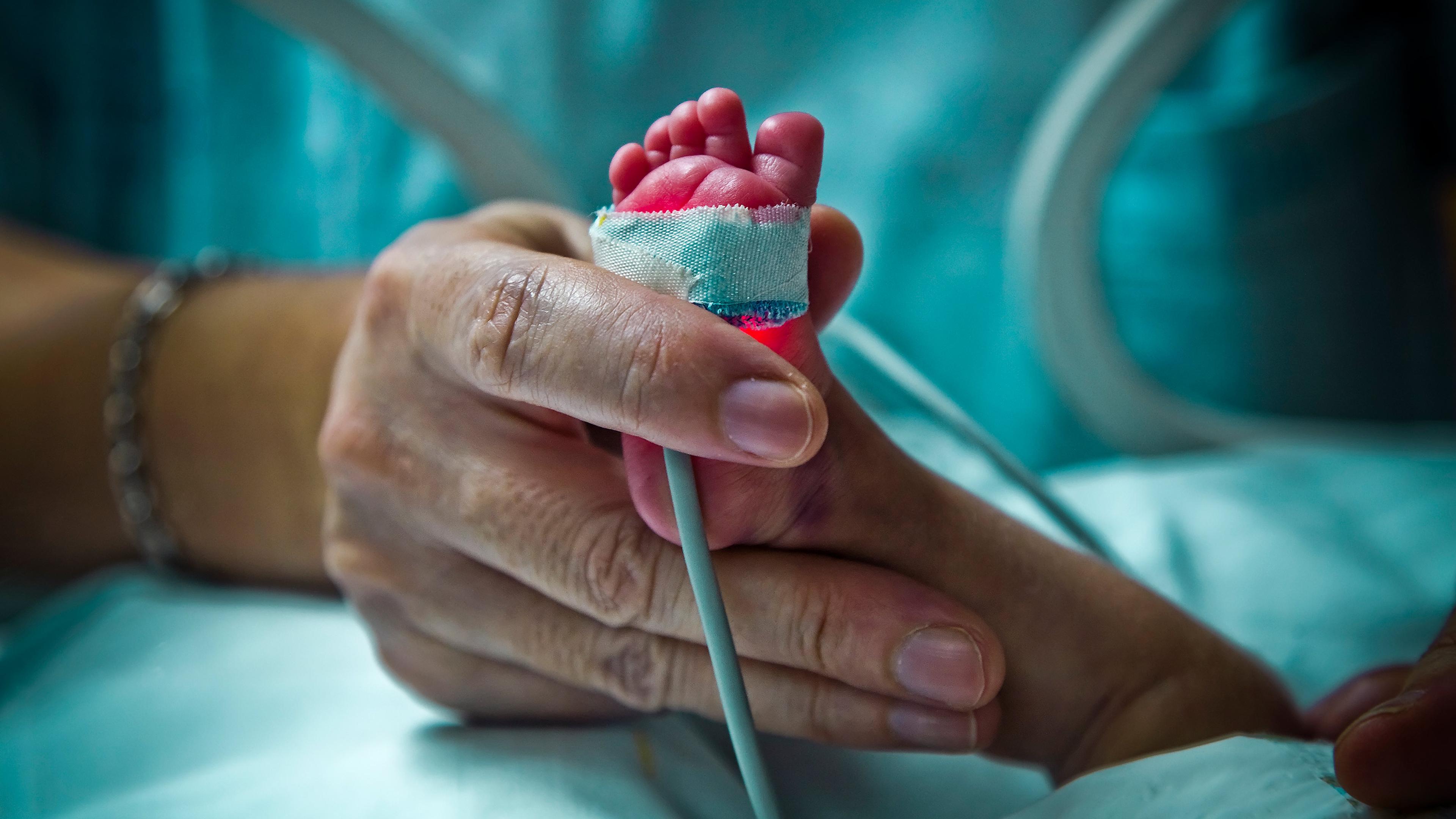 An adult hand holding a premature baby’s tiny foot in a hospital incubator, with a medical sensor bandaged to the baby’s foot.