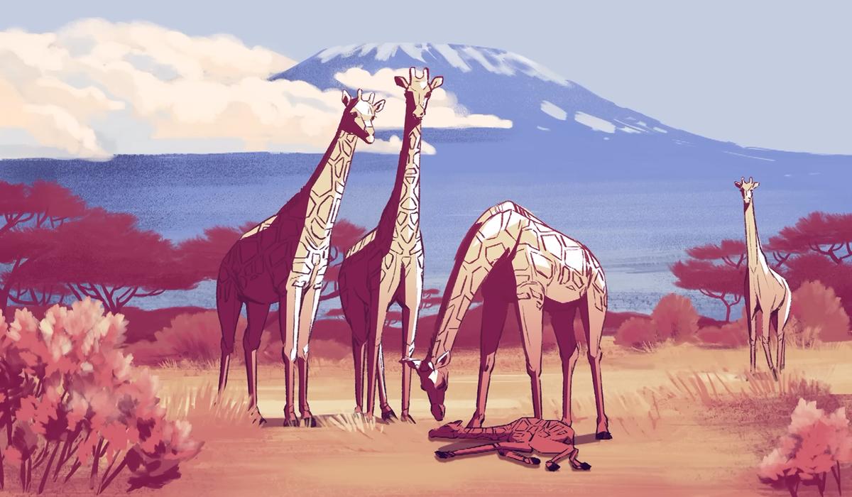 Illustration of four adult giraffes, and a young one lying down, with Mount Kilimanjaro and acacia trees in the background.