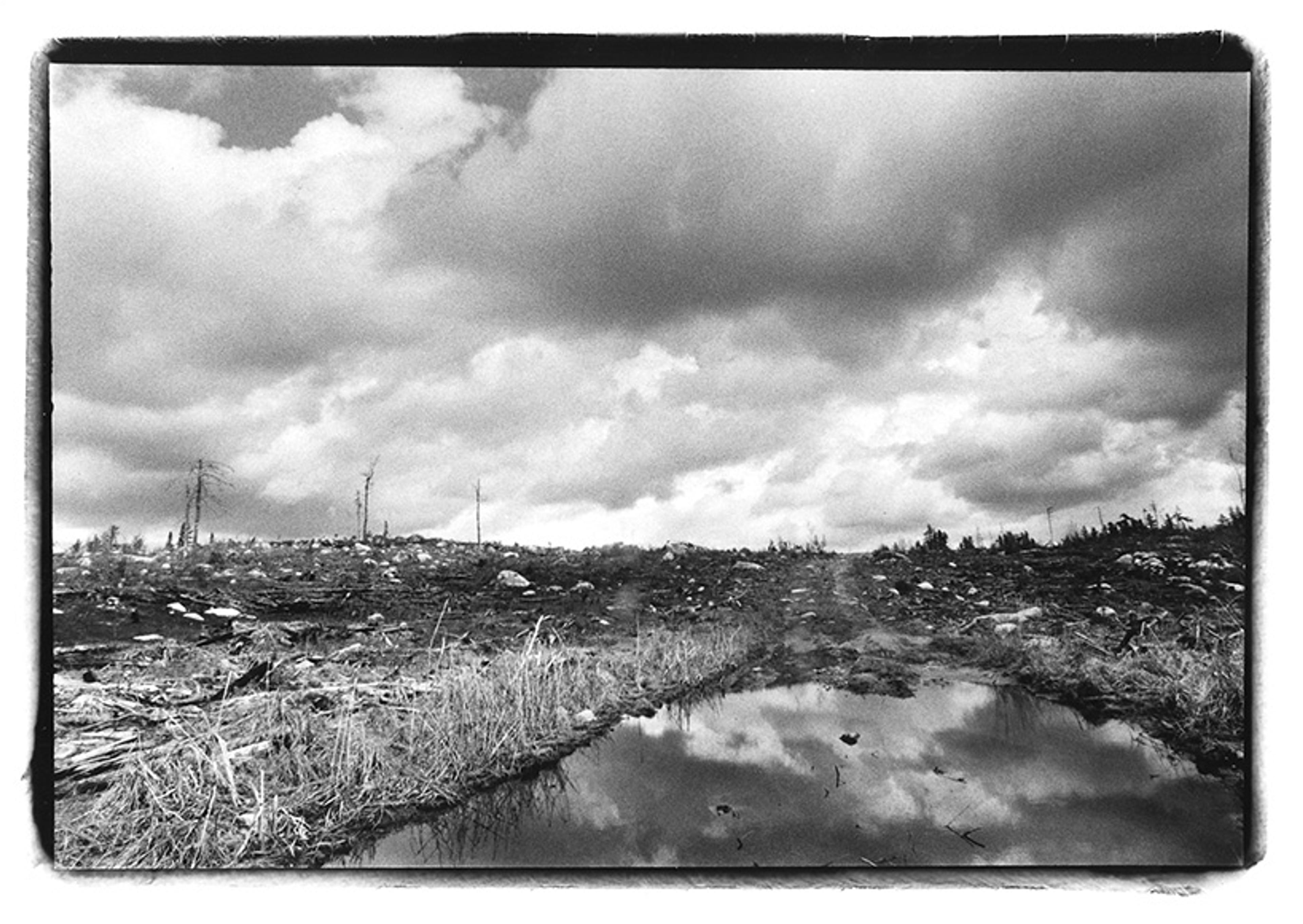 Black-and-white photo of a desolate, muddy landscape with sparse trees, cloudy sky and a body of water reflecting the clouds.