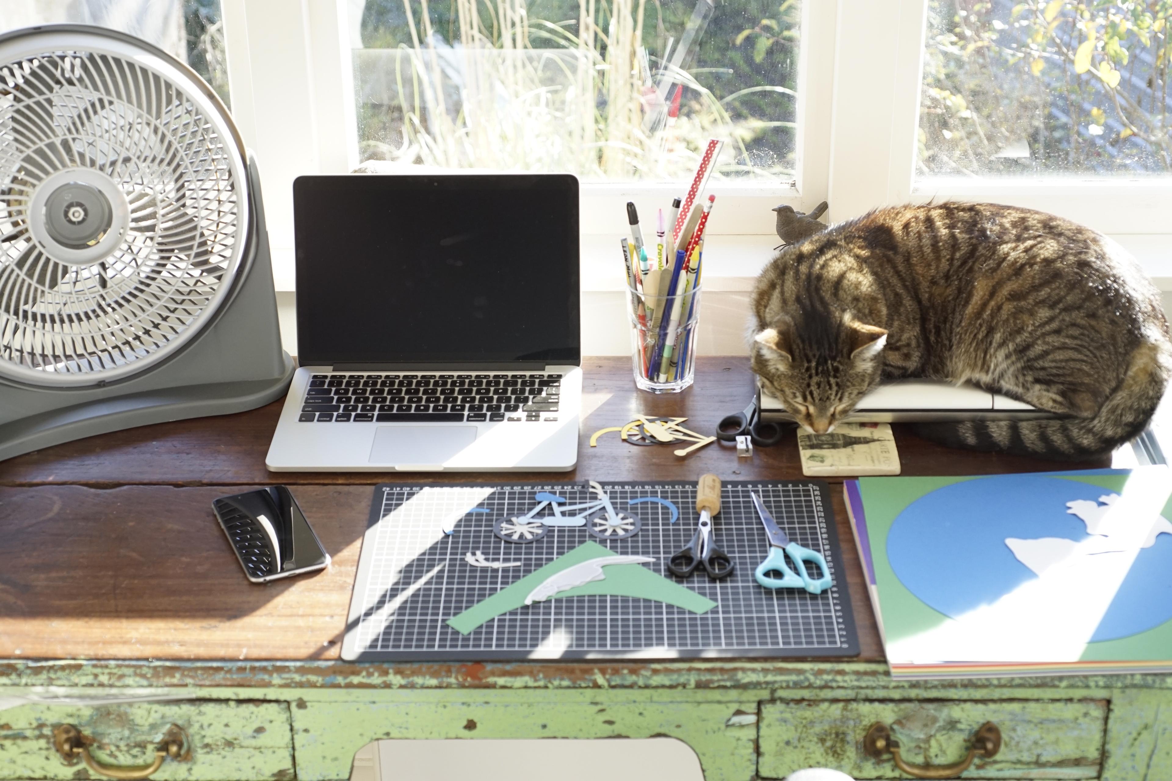 Photo of a desk with a laptop, fan, and sleeping cat. Craft supplies, pens and paper are scattered on the wooden surface.