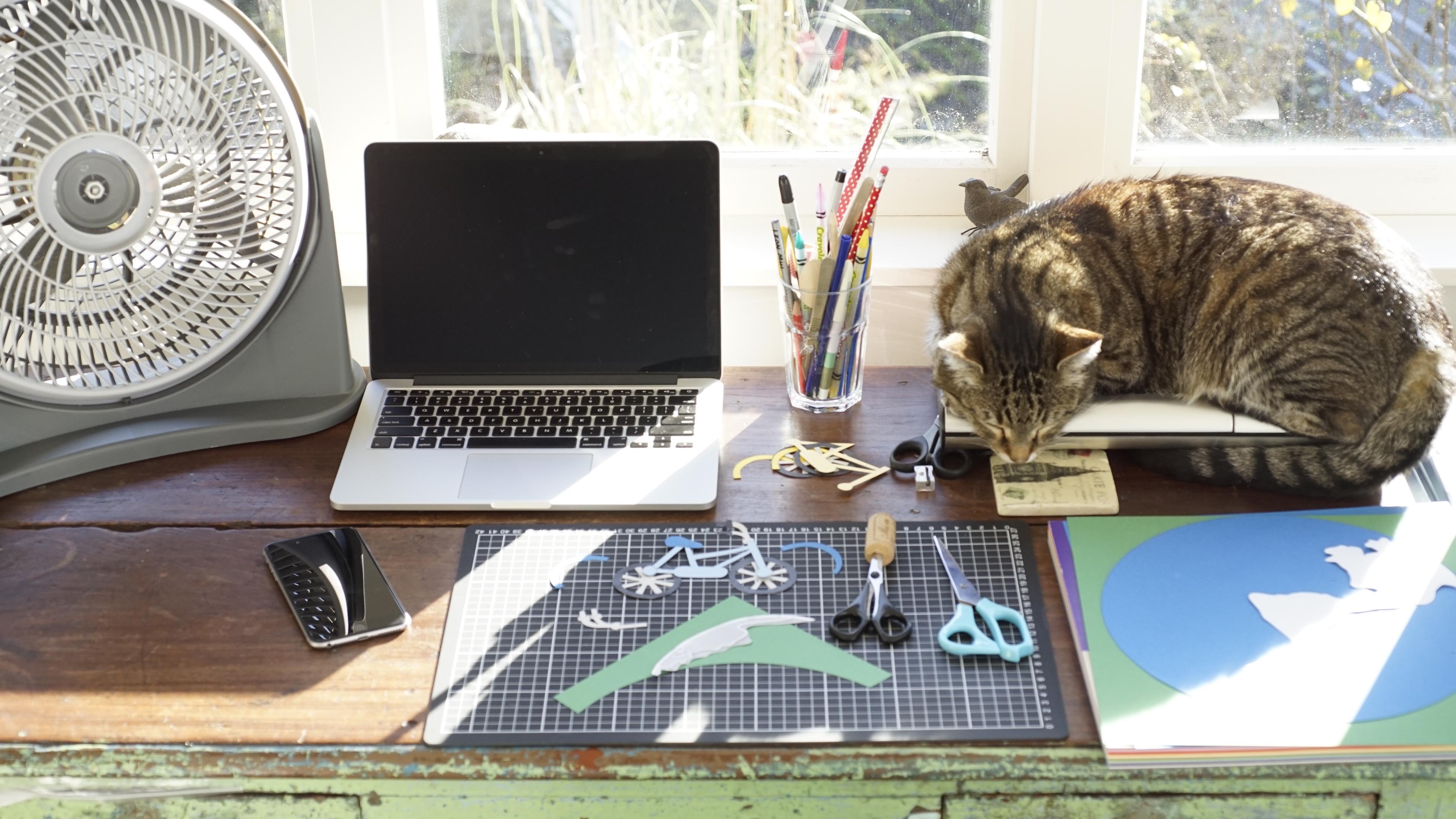 Photo of a desk with a laptop, fan, and sleeping cat. Craft supplies, pens and paper are scattered on the wooden surface.