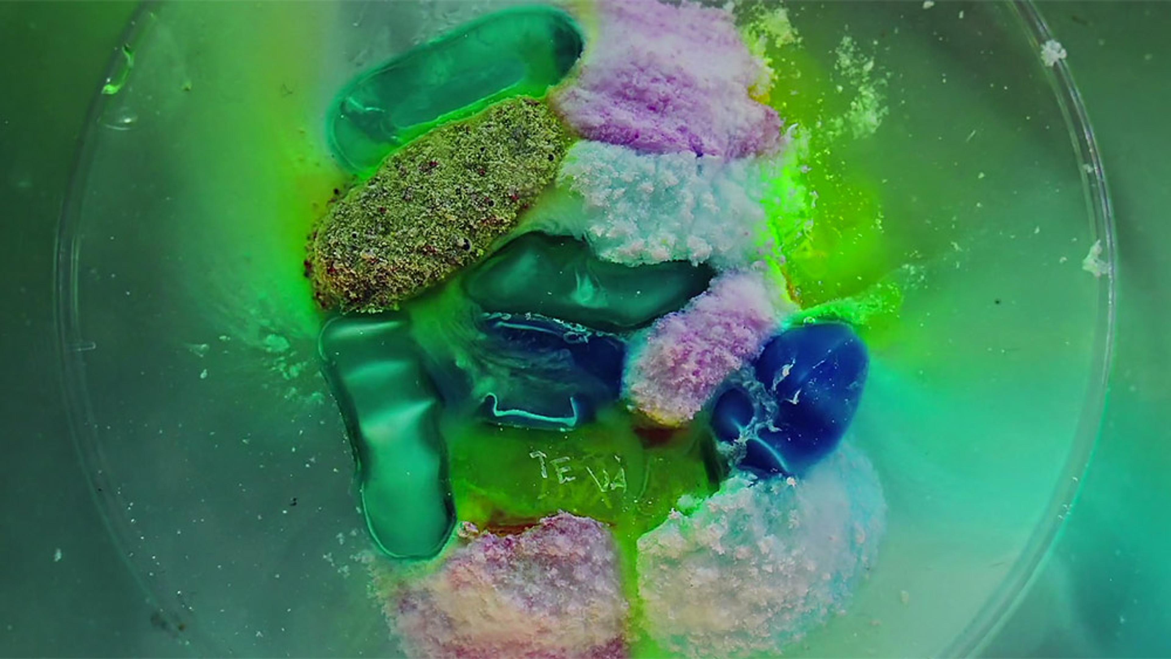 A petri dish containing a mix of colourful crystals and green liquid forming abstract patterns, viewed from above.