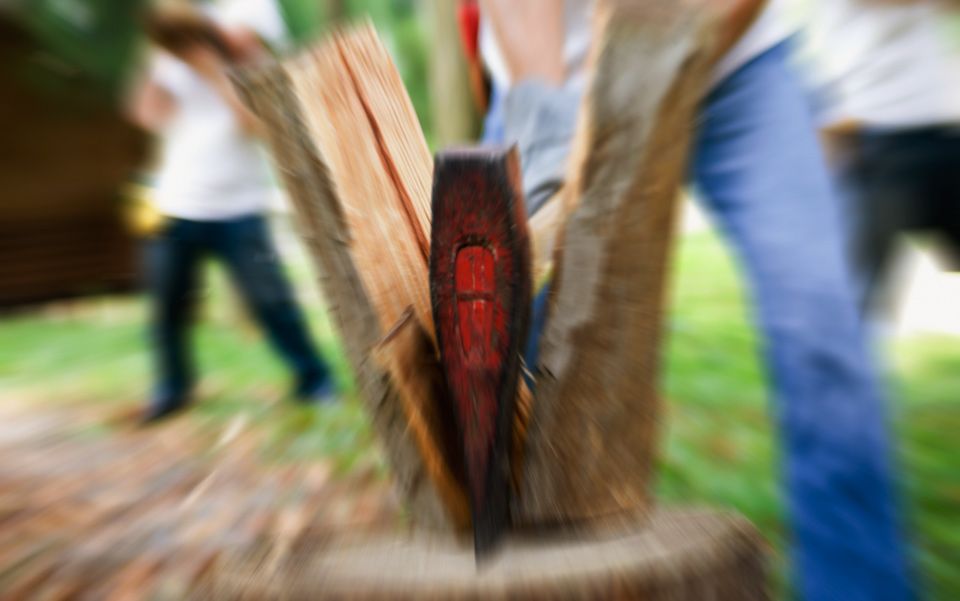 Firewood splitting online stand