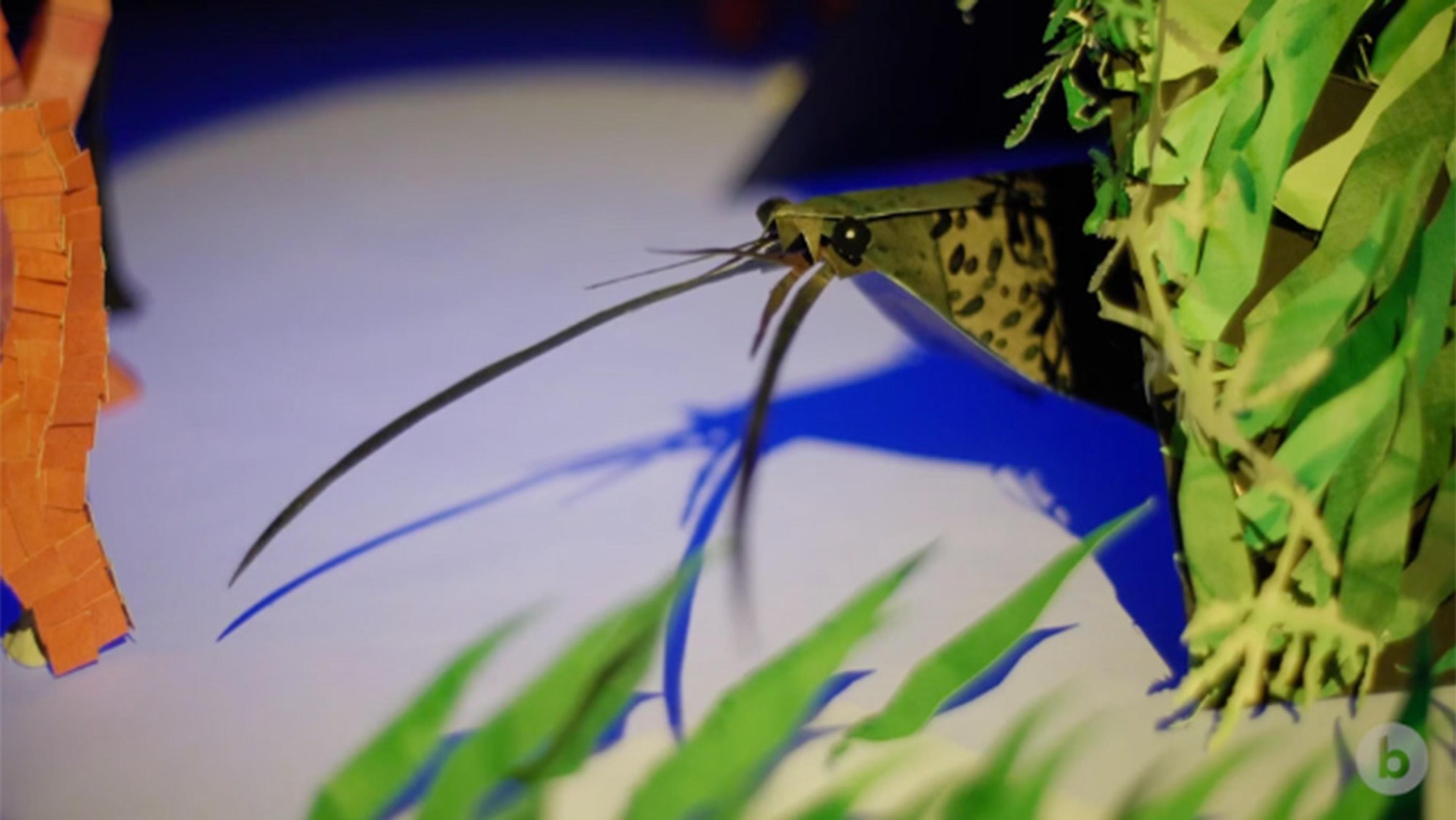 Close-up of a paper model catfish with long whiskers, hidden among green paper plants in a diorama.