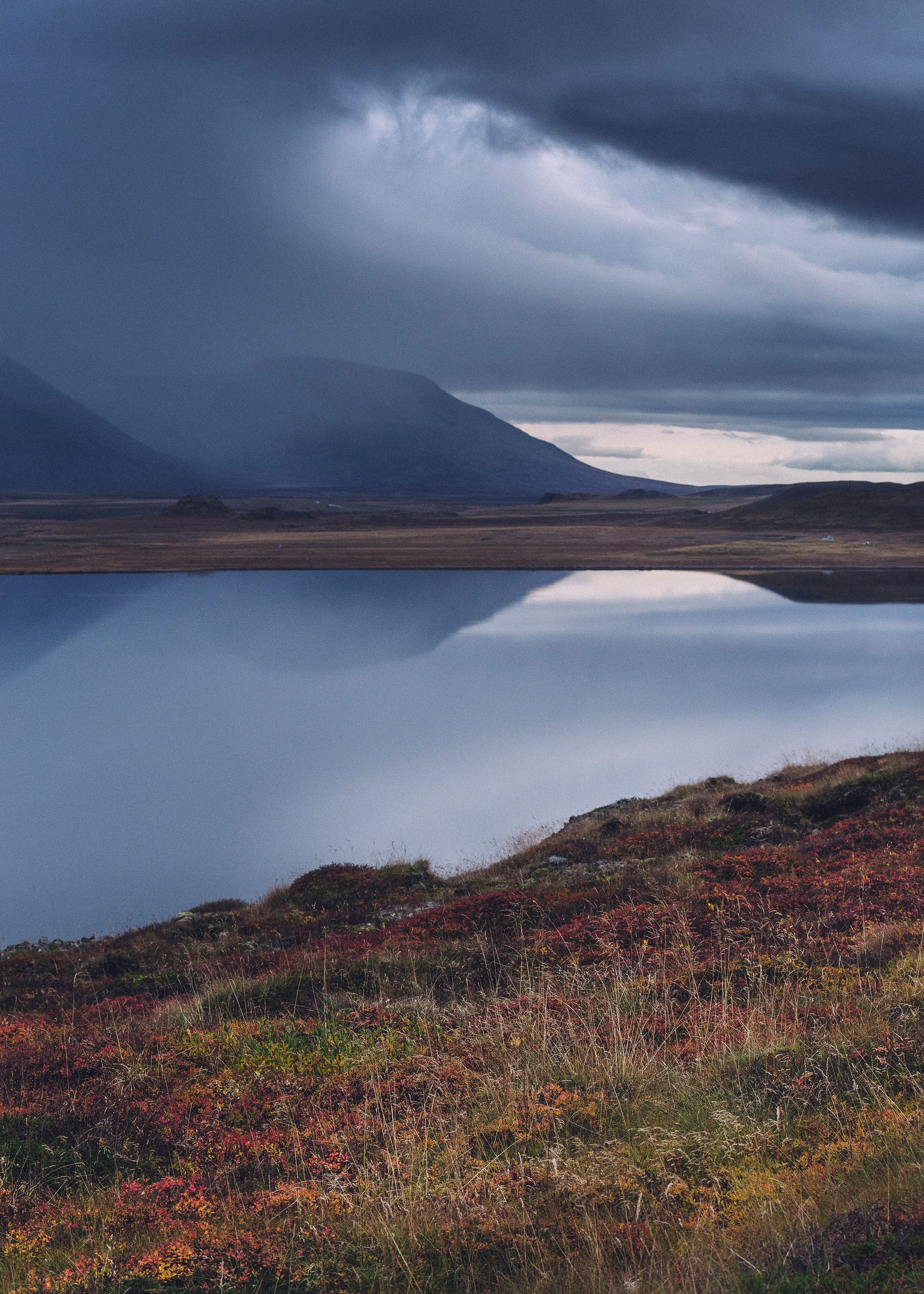 How to find your InnSæi