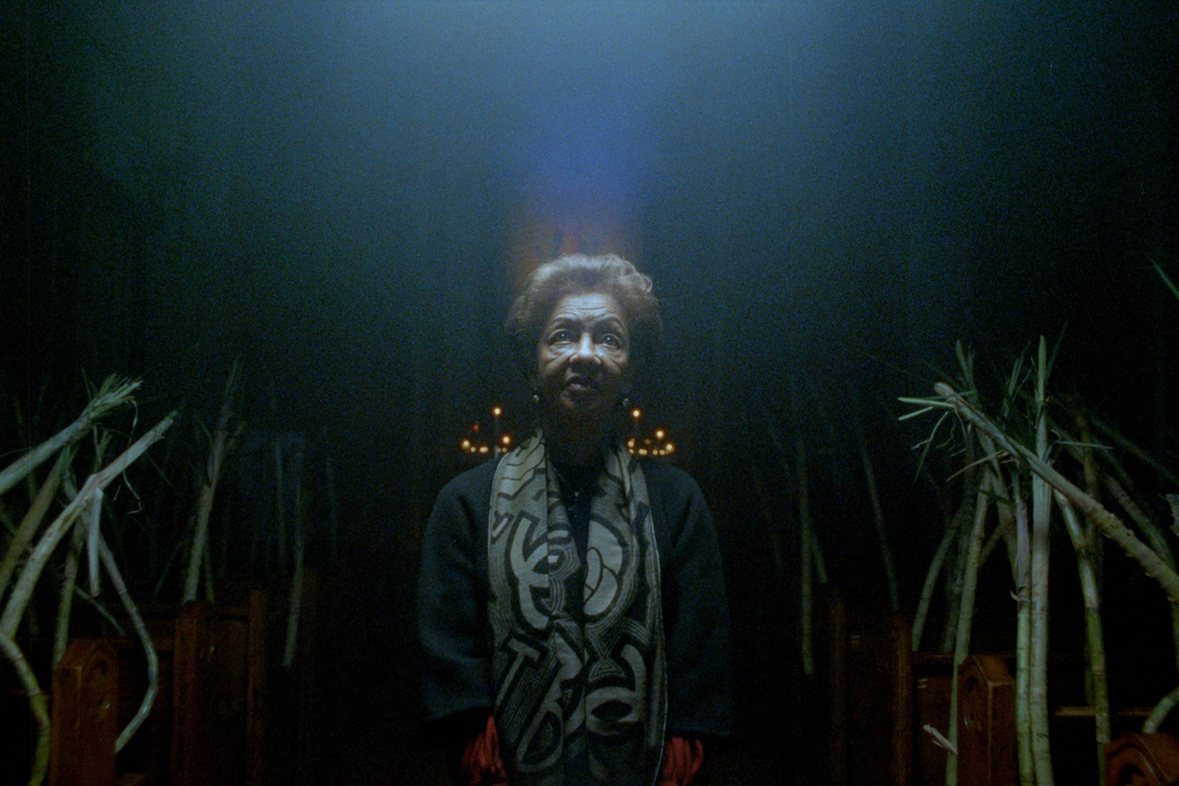 An elderly woman stands in a dark room with bamboo-like plants in the background, illuminated by soft, mystical light from above.