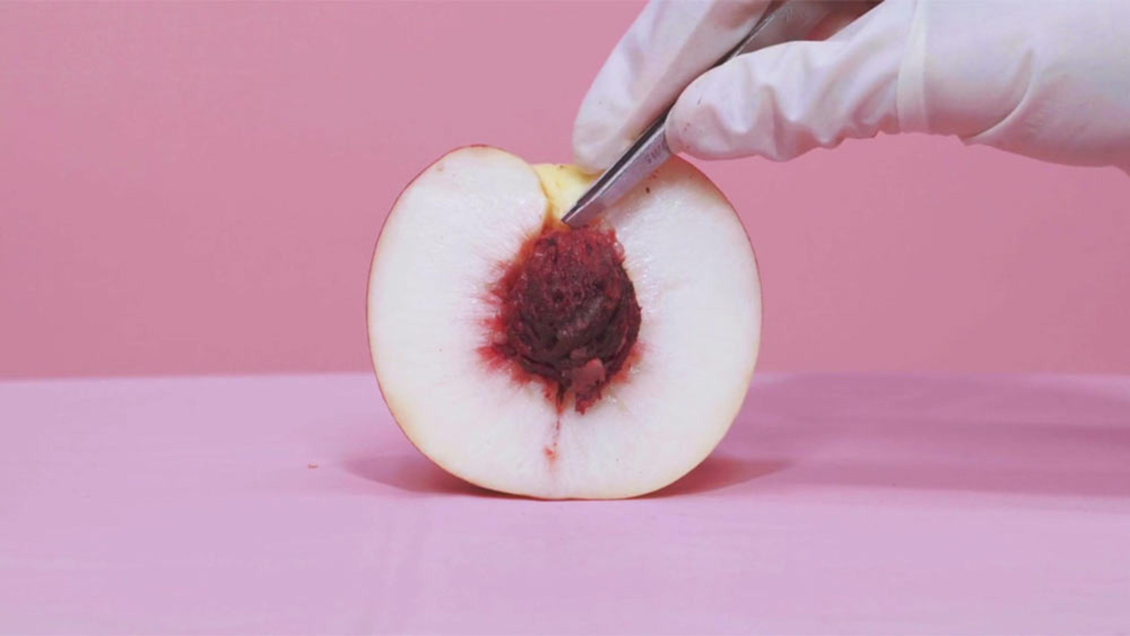 A gloved hand using a scalpel to cut into a peach half on a pink background and surface.