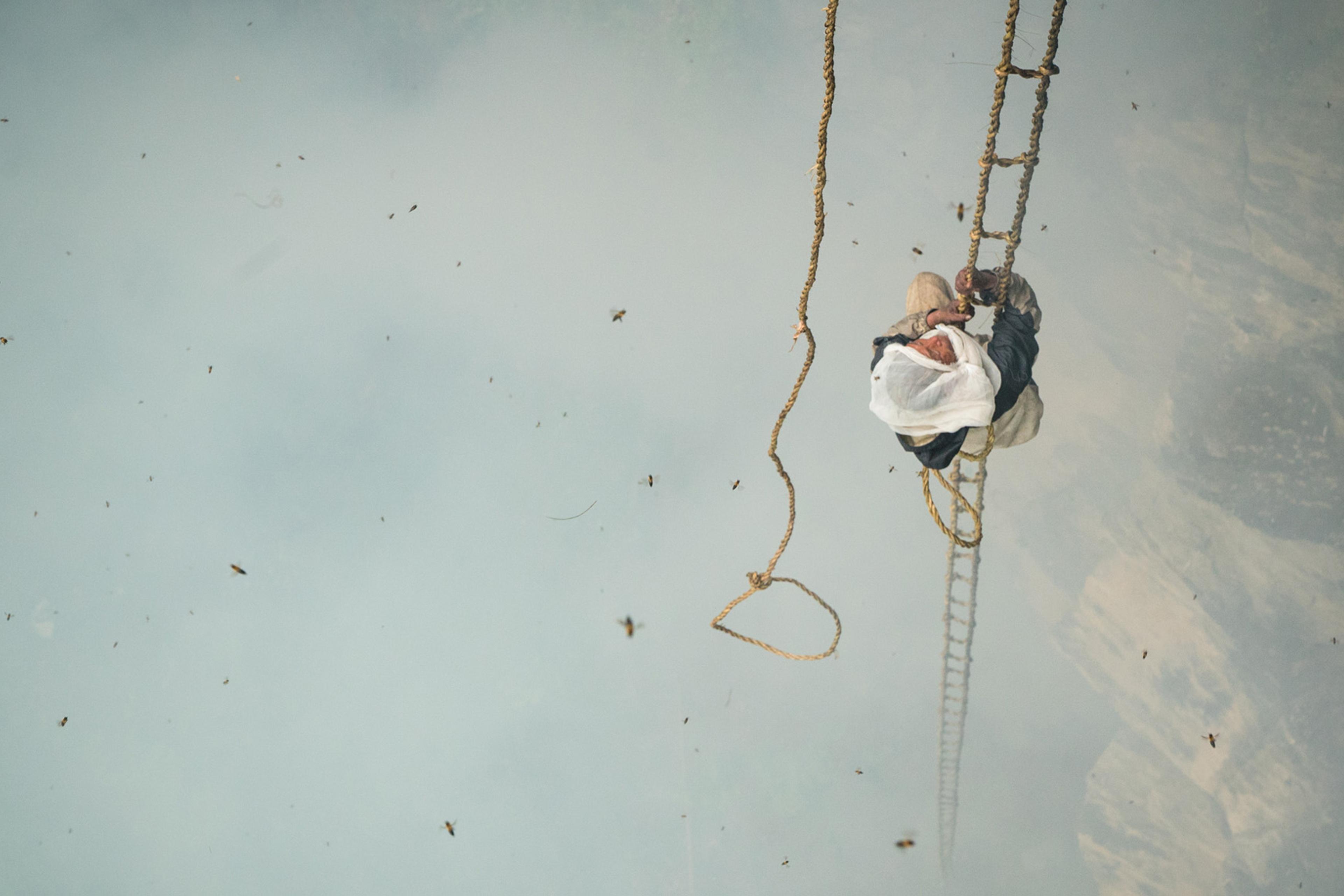 A person with a head covering climbs a rope ladder surrounded by bees in a mountainous area with smoke in the background.