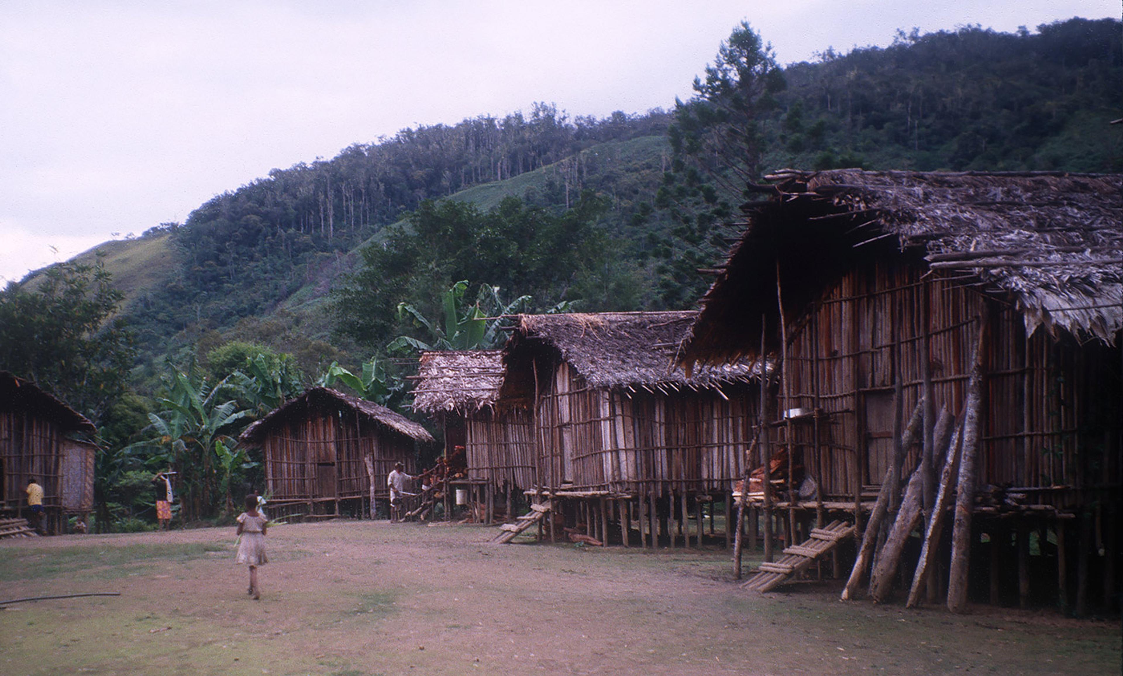 Traditional stilt houses made of bamboo and thatch in a rural village, with people and dense forested hills in the background.