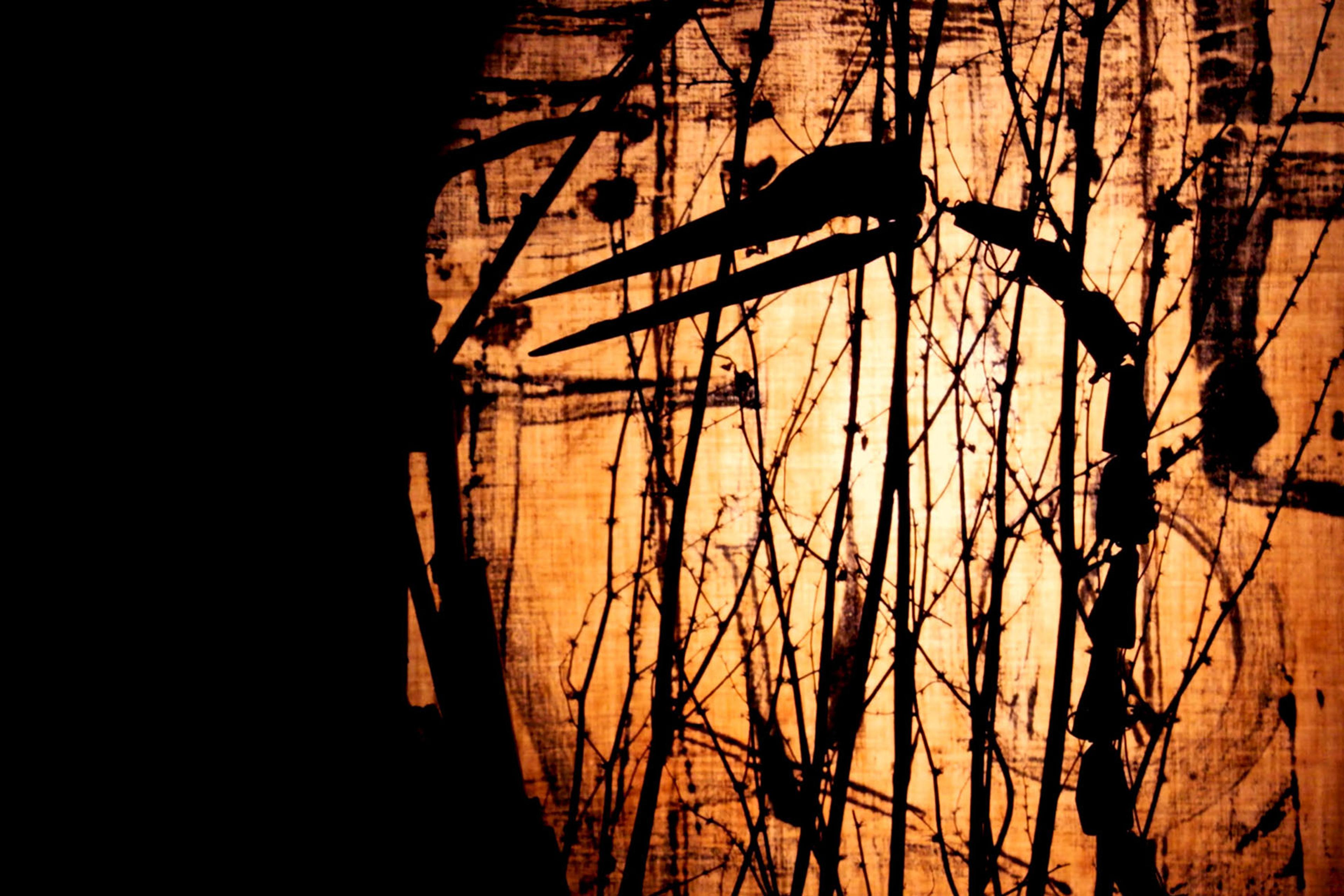 Silhouette of a bird perched on branches against an orange background. This is a photo with stark contrasts and abstract elements.