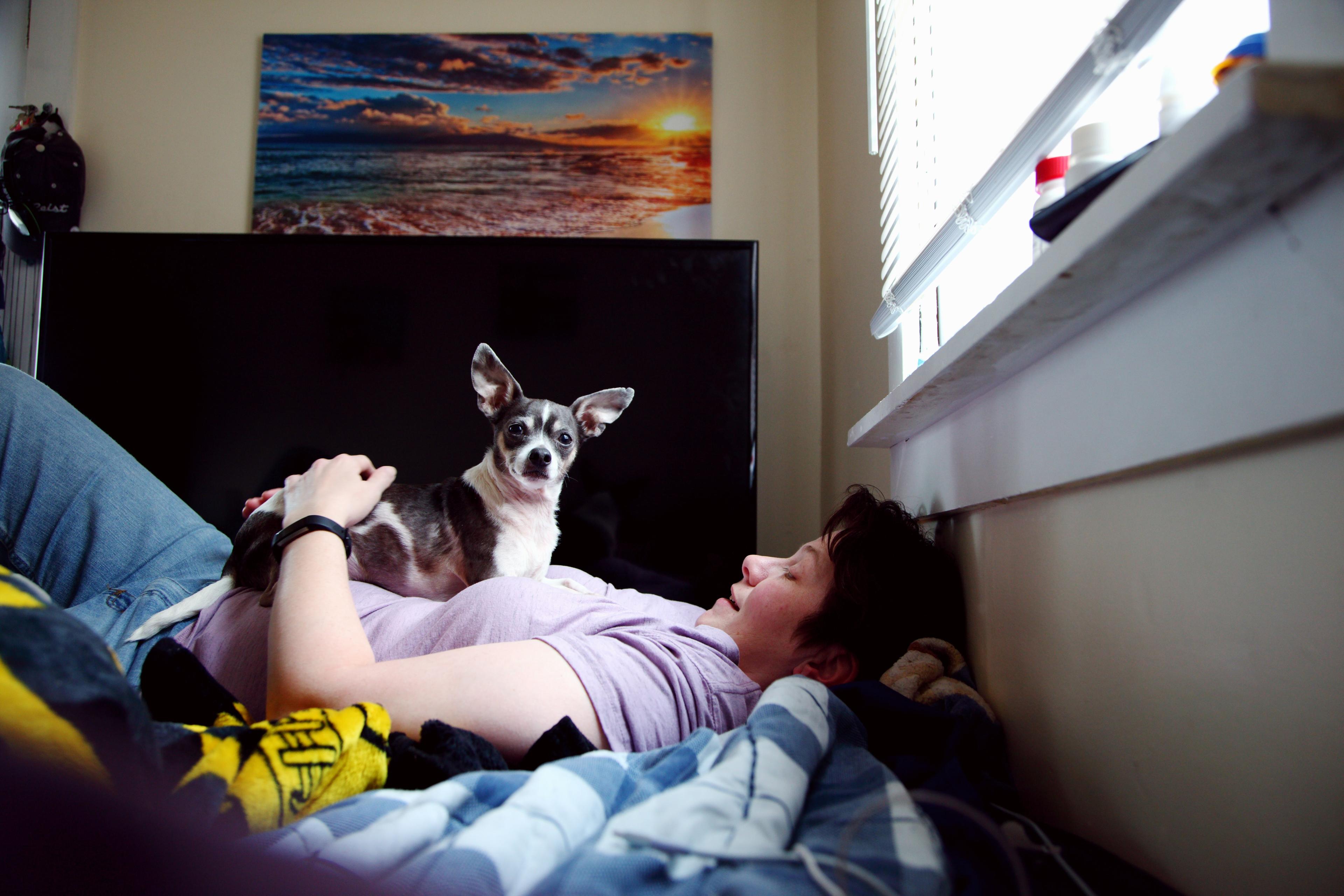 Photo of a person lying on a bed with a small dog on their chest. A sunset picture is mounted on the wall behind them.