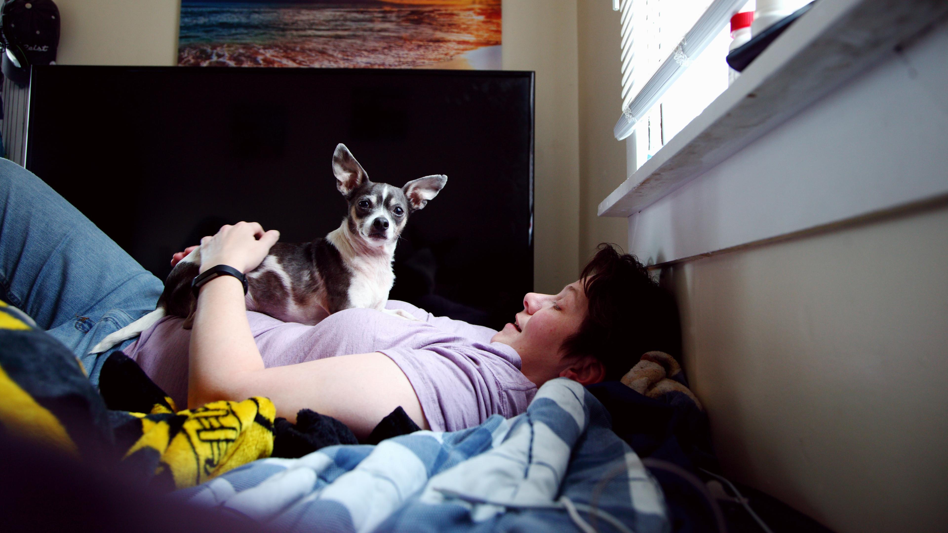 Photo of a person lying on a bed with a small dog on their chest. A sunset picture is mounted on the wall behind them.