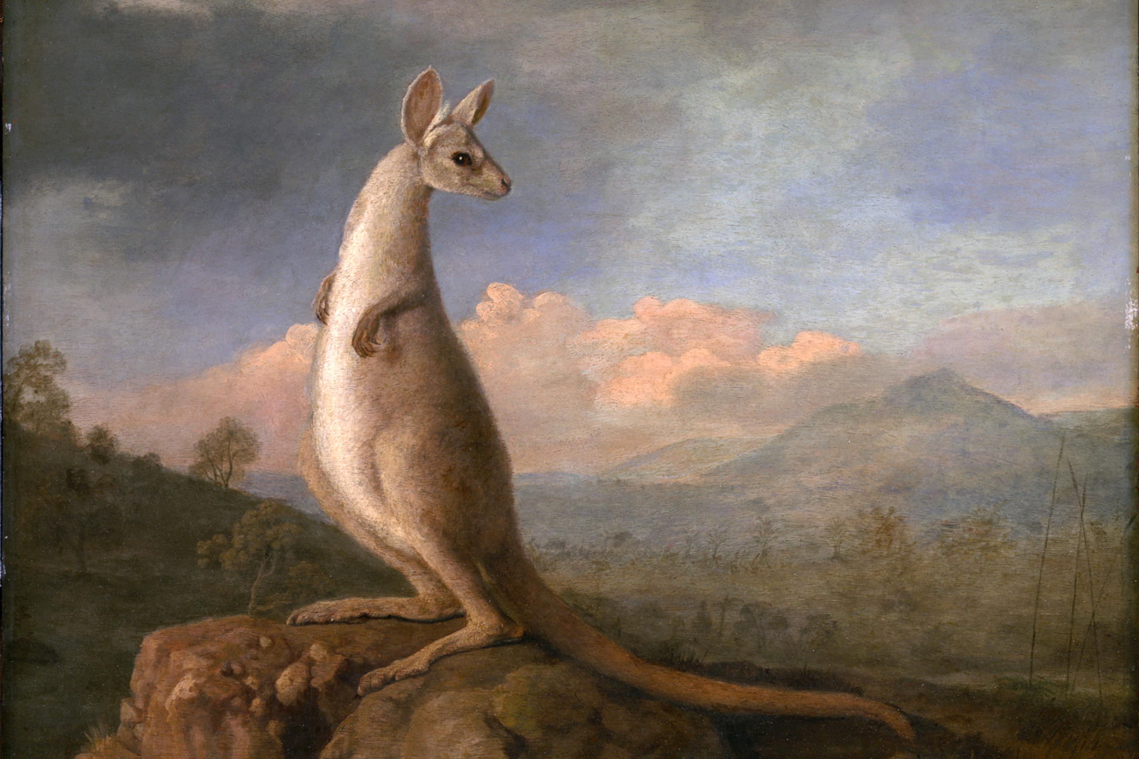 A painting of a kangaroo standing on rocks with a mountainous landscape and cloudy sky in the background.