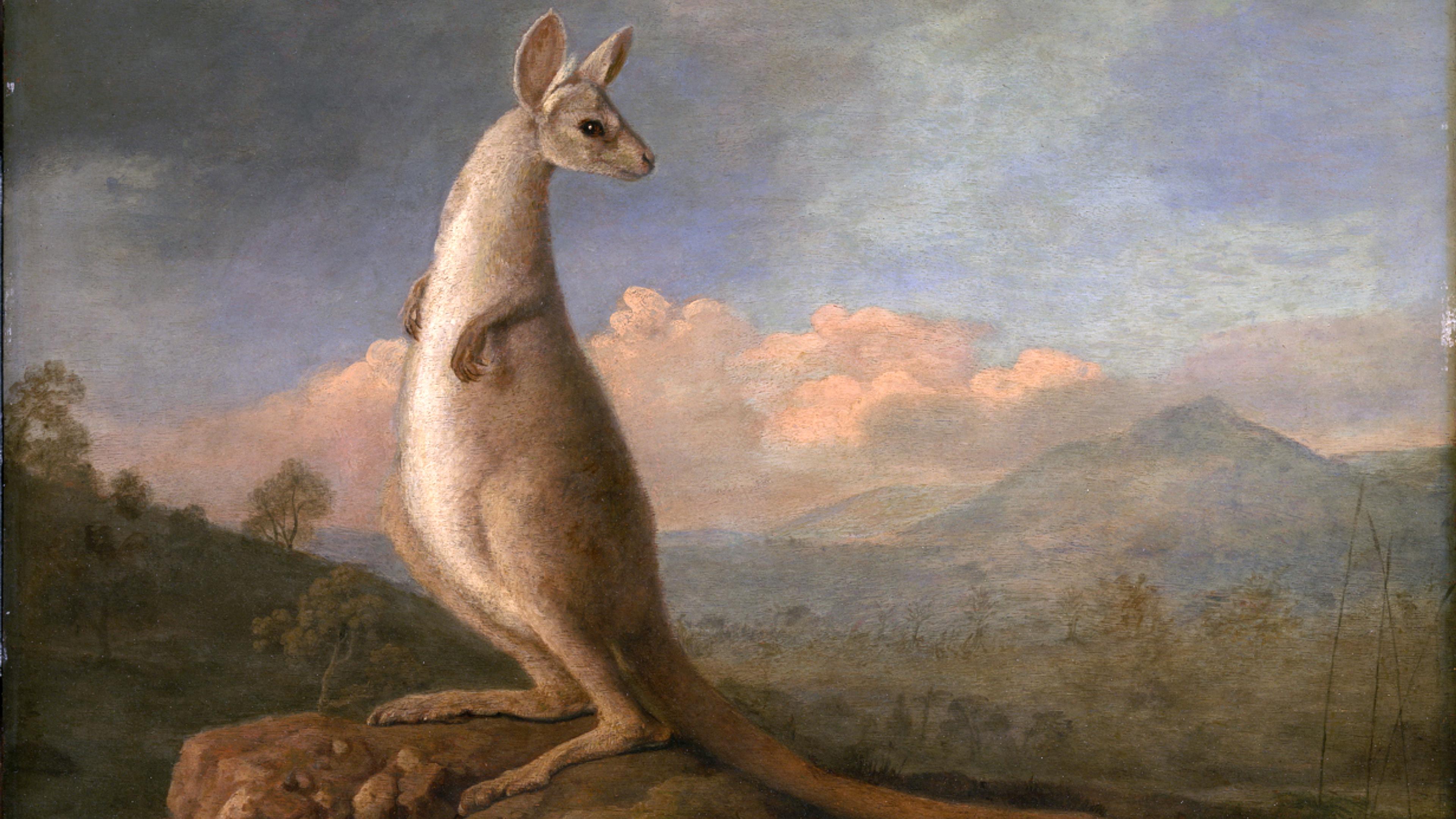 A painting of a kangaroo standing on rocks with a mountainous landscape and cloudy sky in the background.