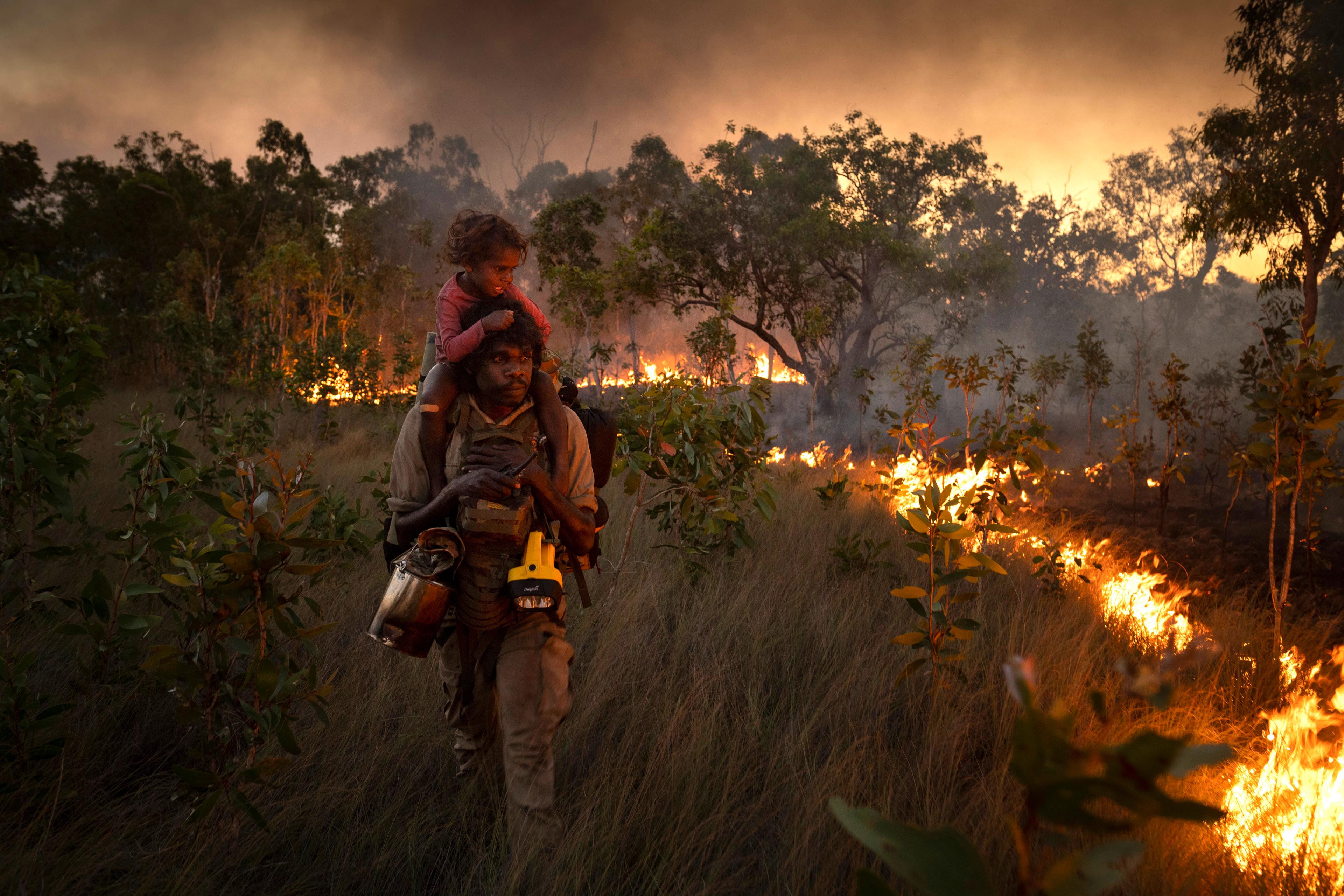 An Indigenous Australian man carrying a child on his shoulders walking through bushland observing a ‘cool’ burn (used to control underbrush), with smoke and flames in the background.