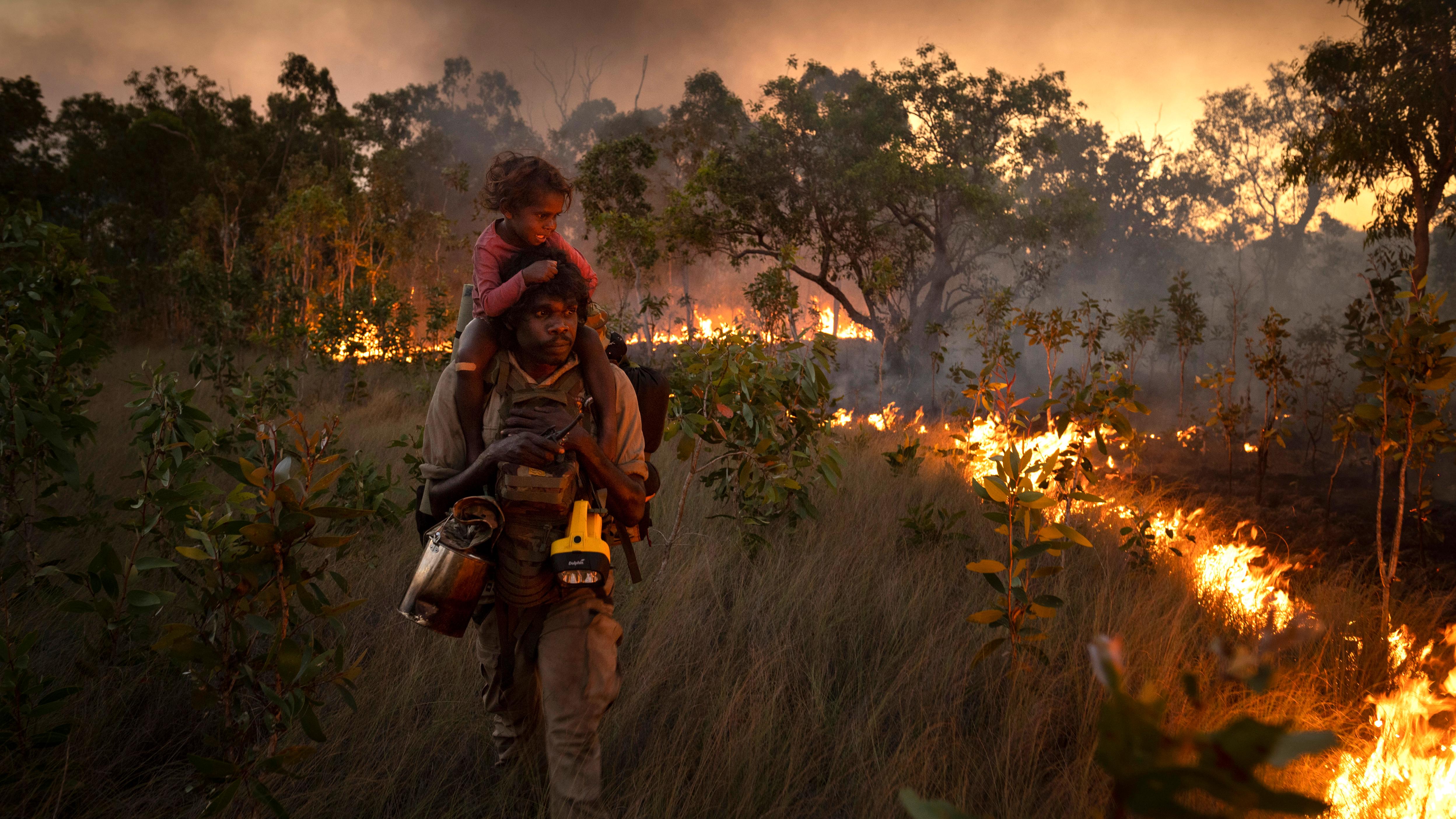 An Indigenous Australian man carrying a child on his shoulders walking through bushland observing a ‘cool’ burn (used to control underbrush), with smoke and flames in the background.