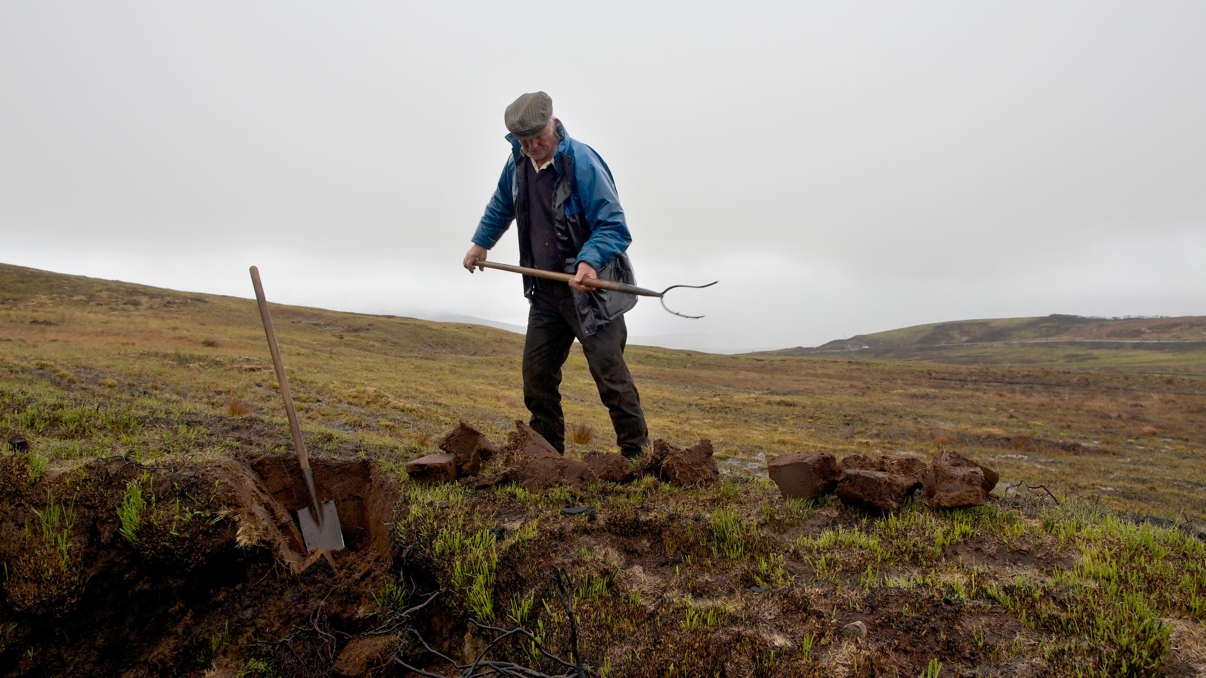 Photo of a man in a blue jacket and cap cutting turf in a grassy field with a pitchfork and spade under a cloudy sky.