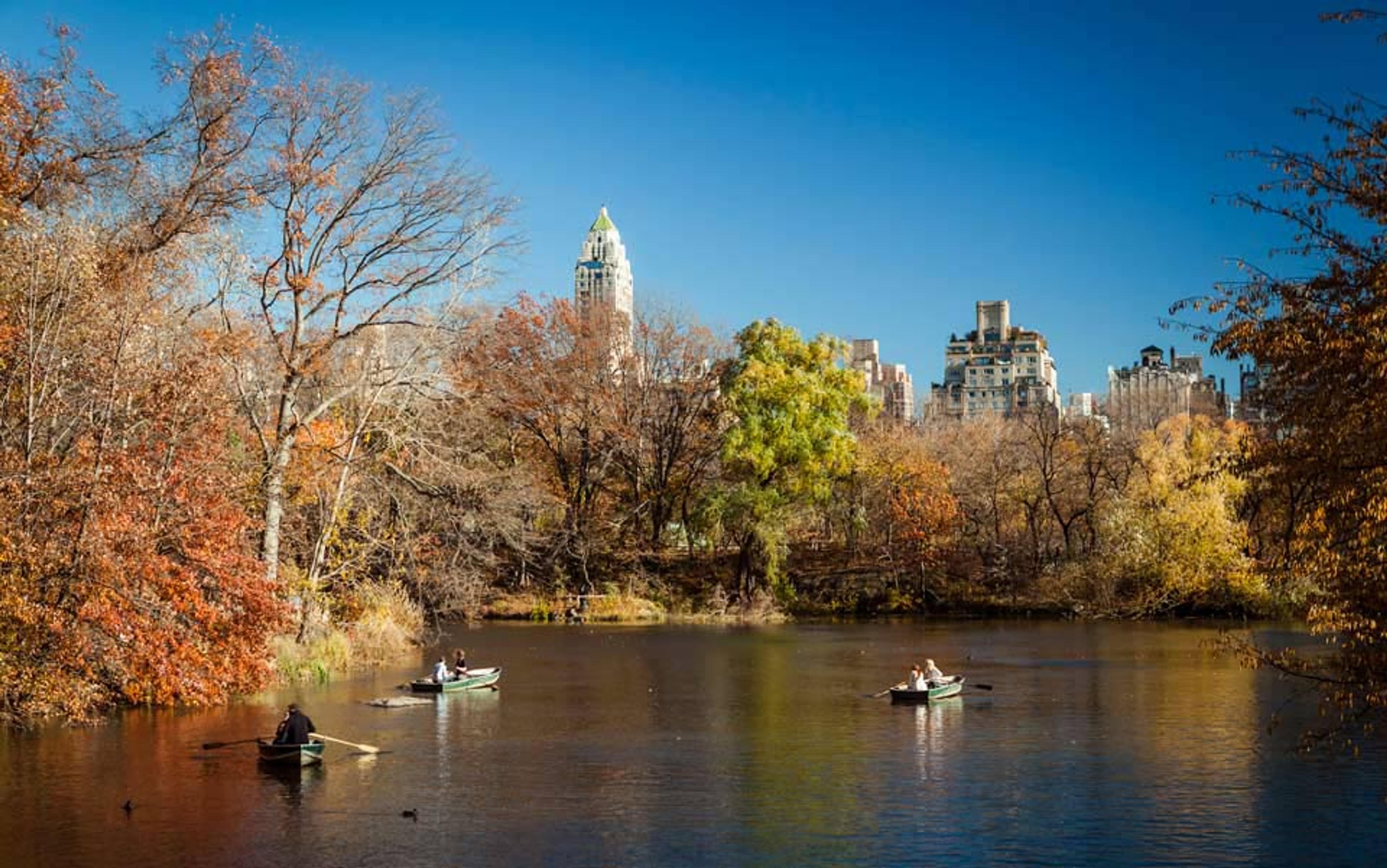 A pond in autumn with people rowing boats, surrounded by trees and distant city buildings under a clear blue sky.