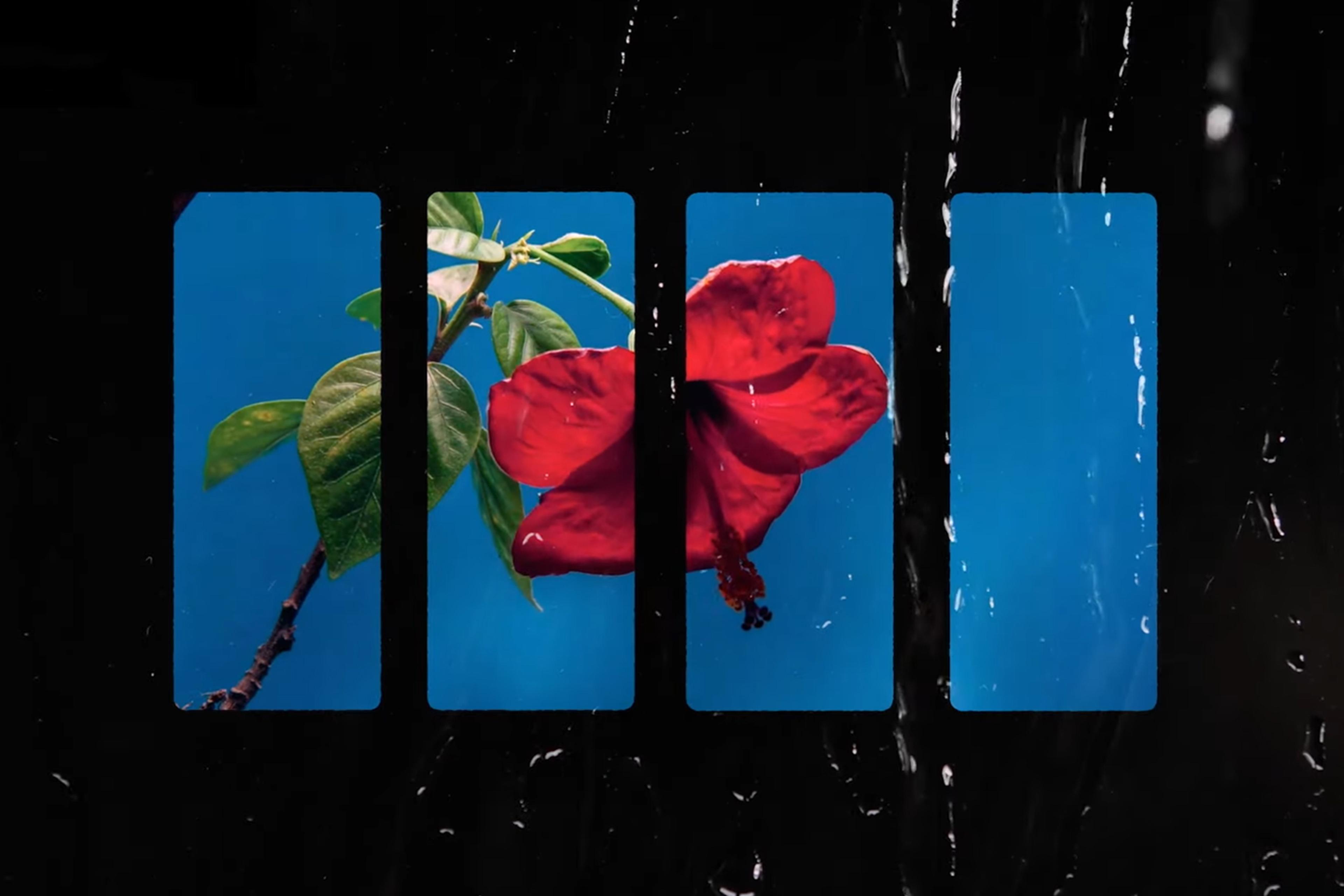 A red hibiscus flower and green leaves are divided into four vertical panels against a blue background, overlaid by raindrop textures.