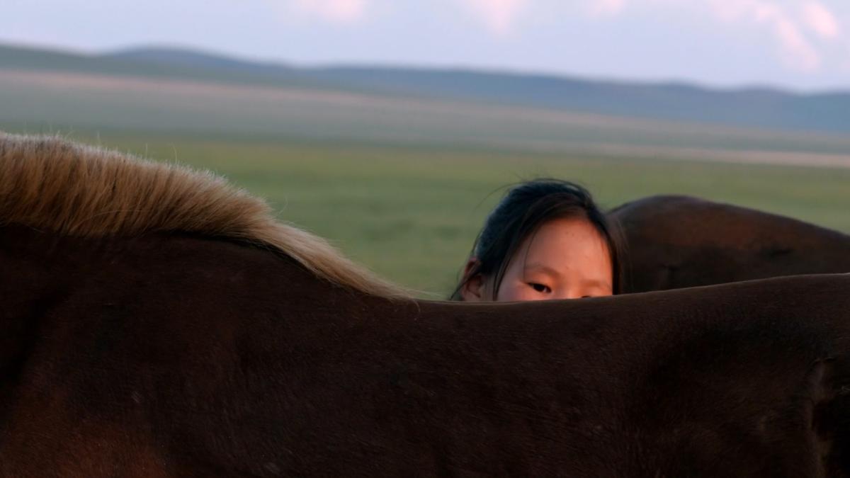 A child peeking over the back of a horse in a grassy open field with a distant horizon and a slightly cloudy sky.