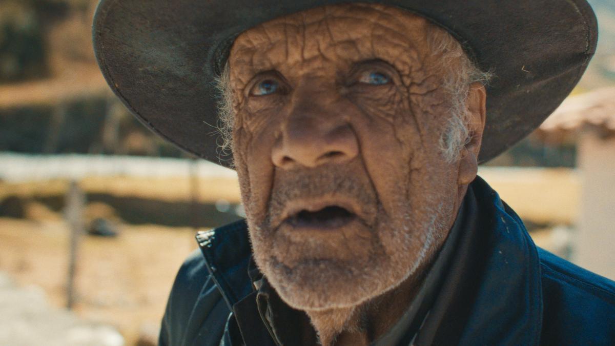 Close-up photo of an elderly man in a hat gazing upwards, wrinkles visible on his weathered face, blurred background.