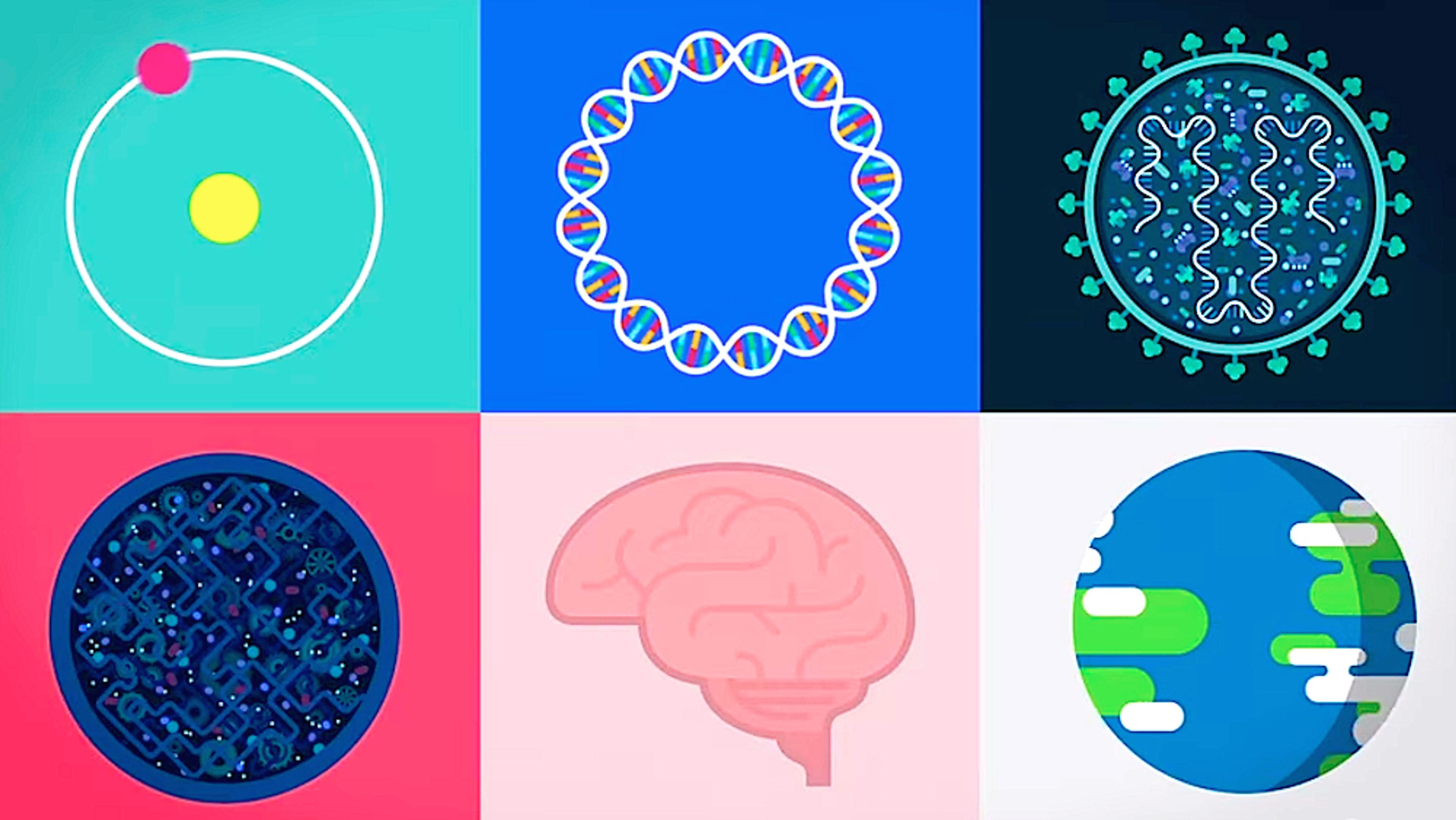 Illustration of six scientific diagrams in a grid, featuring an atom, DNA, virus, cell, brain and Earth, each in vibrant colours.