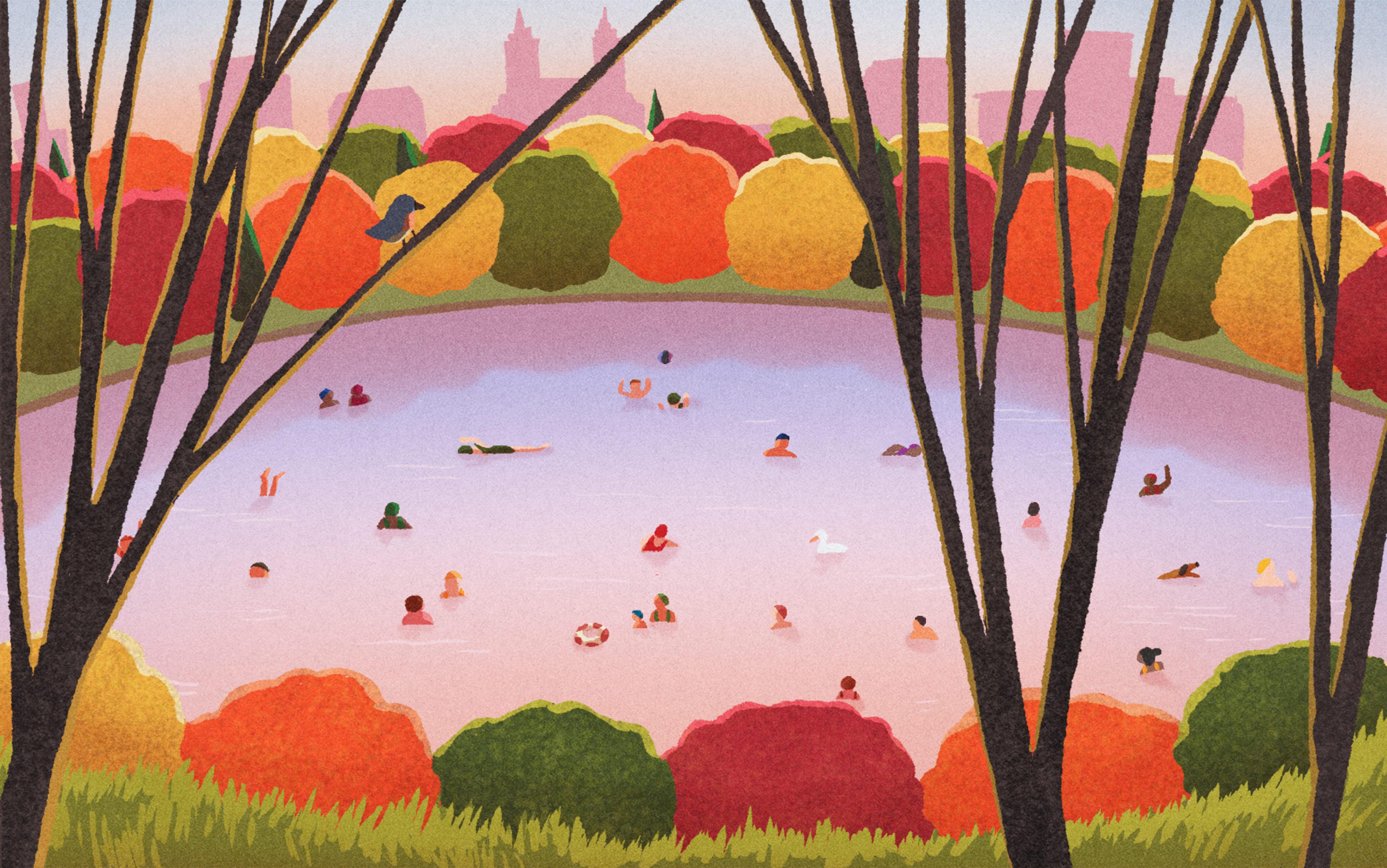 A colour illustration of a pool of water in which many people are swimming, glimpsed through trees, against a city skyline background