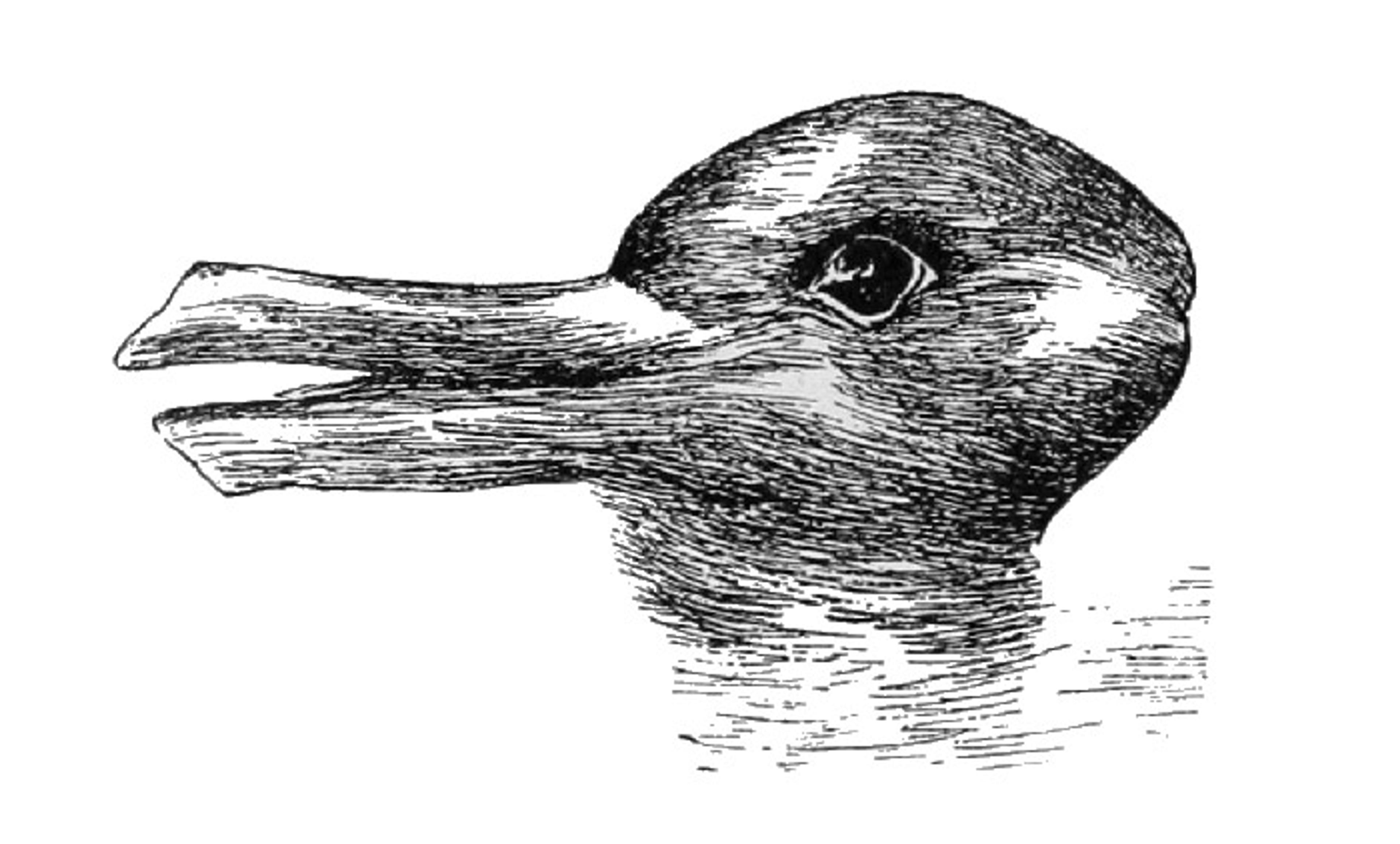 <p>Duck or rabbit? <em>Photo courtesy Wikipedia</em></p>