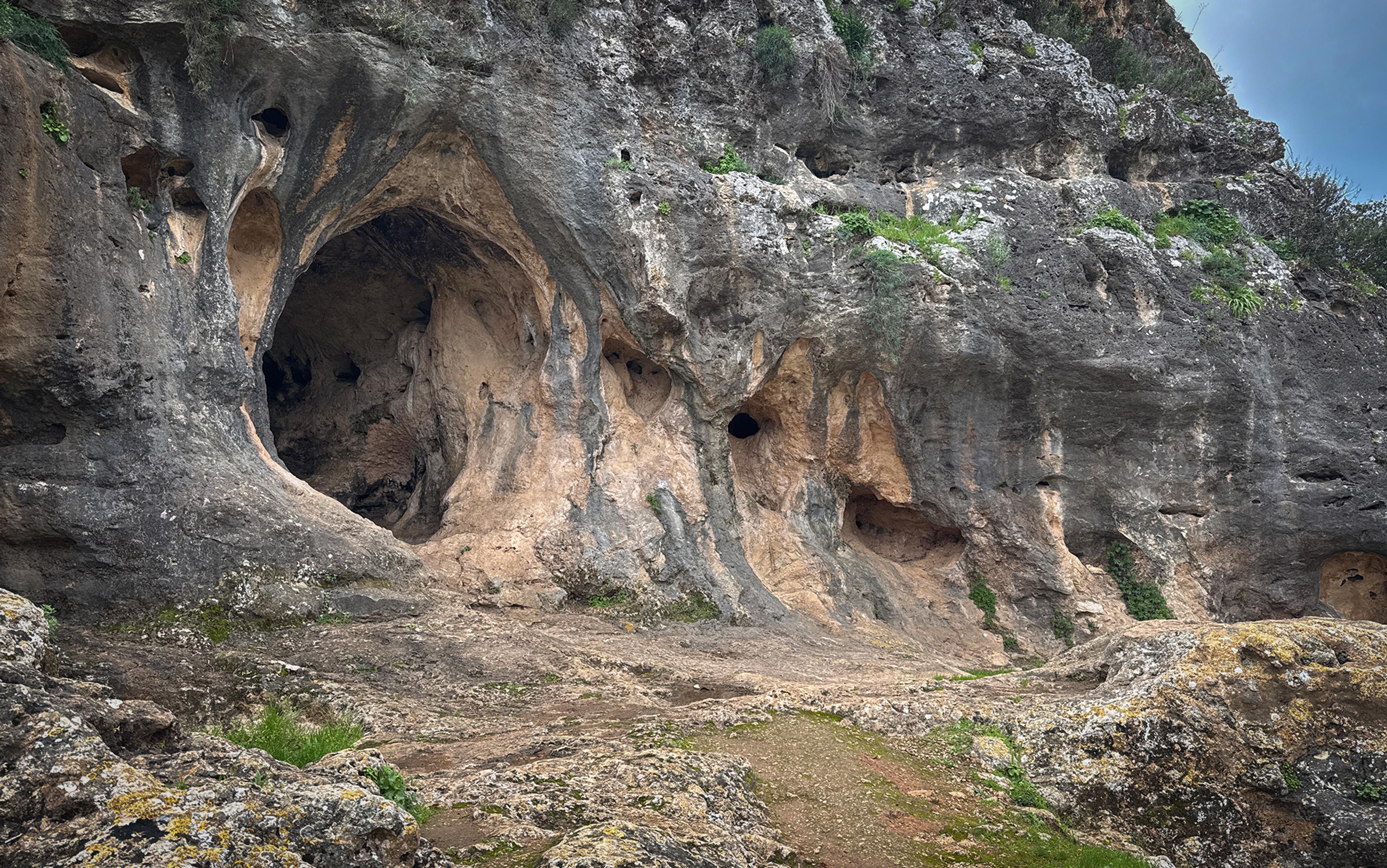 A rocky cliff with natural caves and green vegetation growing on the surface.