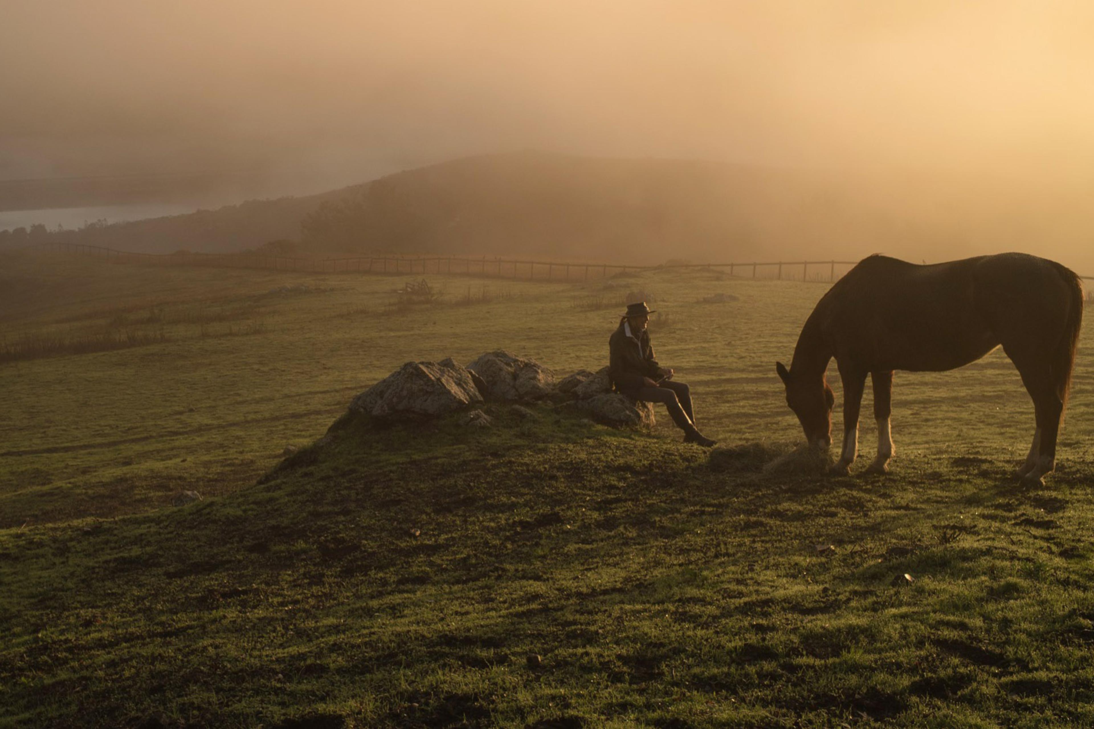 A person in a cowboy hat sits on a rock watching a horse graze in a misty, sunlit pasture with a fence and hills in the background.