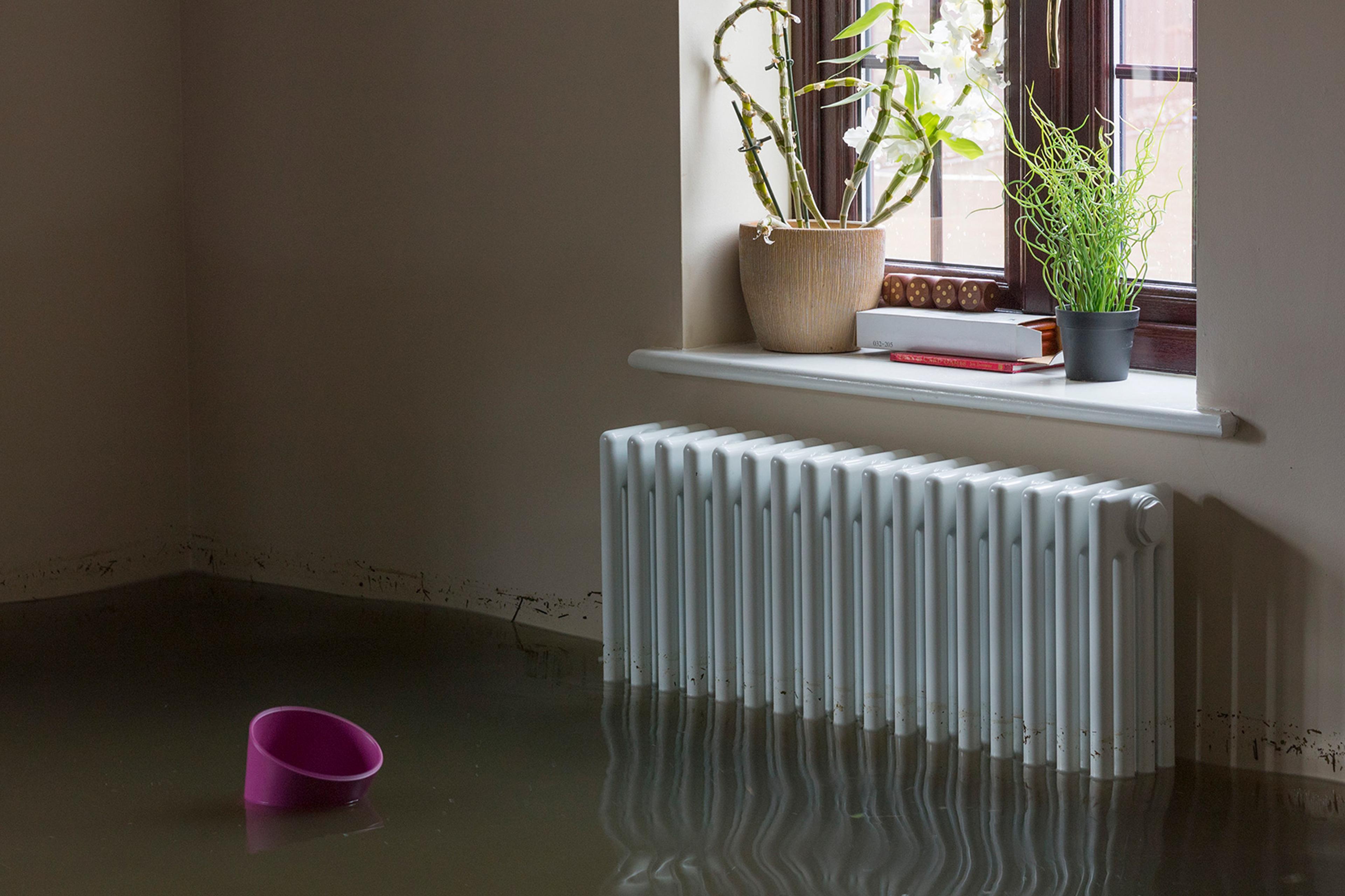 A flooded room with a radiator, window with plants, and a pink bucket floating in the water.