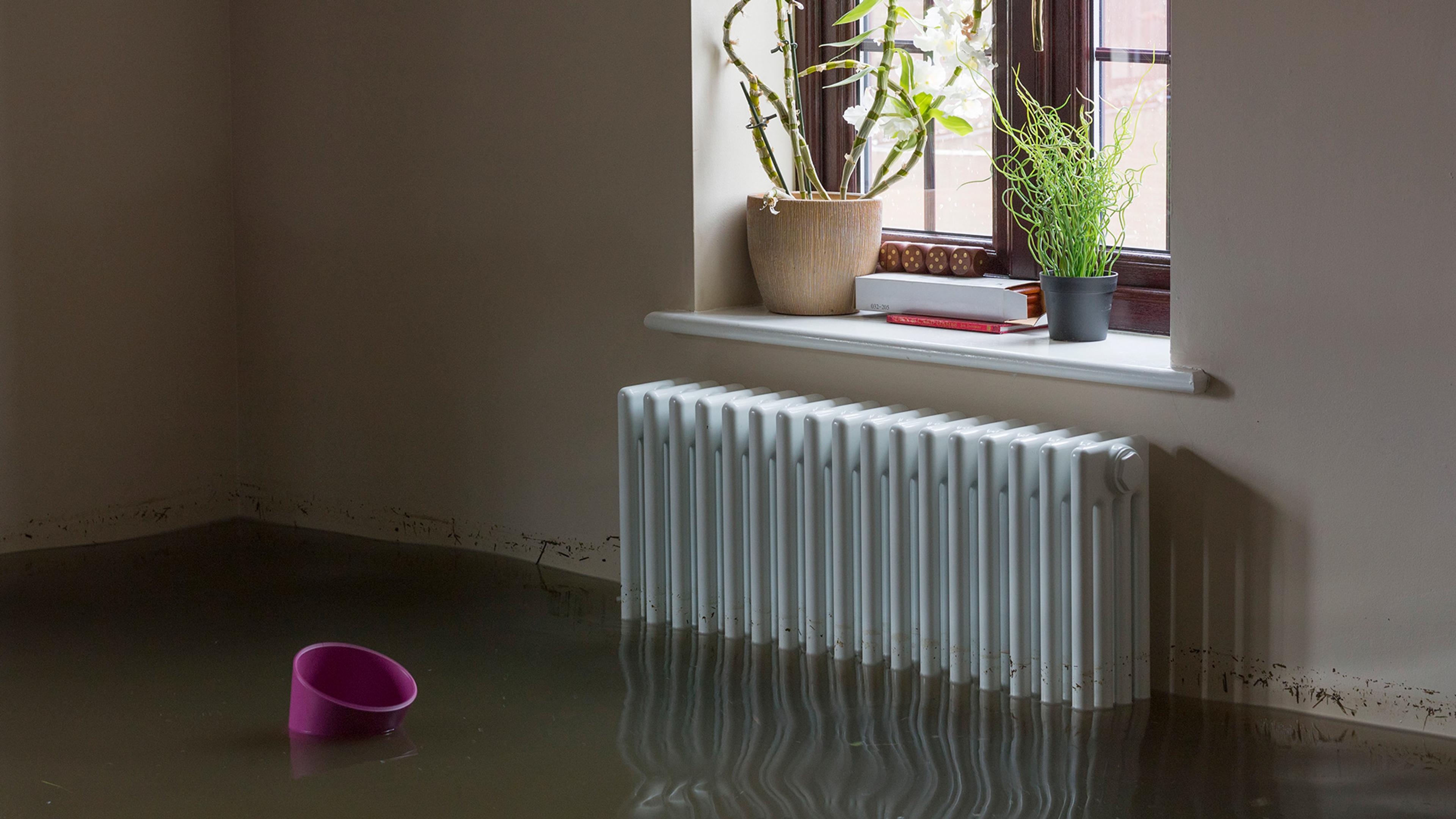 A flooded room with a radiator, window with plants, and a pink bucket floating in the water.