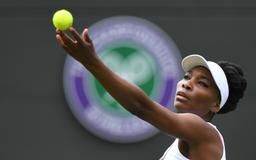 The tennis player Venus Willians preparing to serve with focus on the ball, wearing a white visor, the Wimbledon logo in the background.