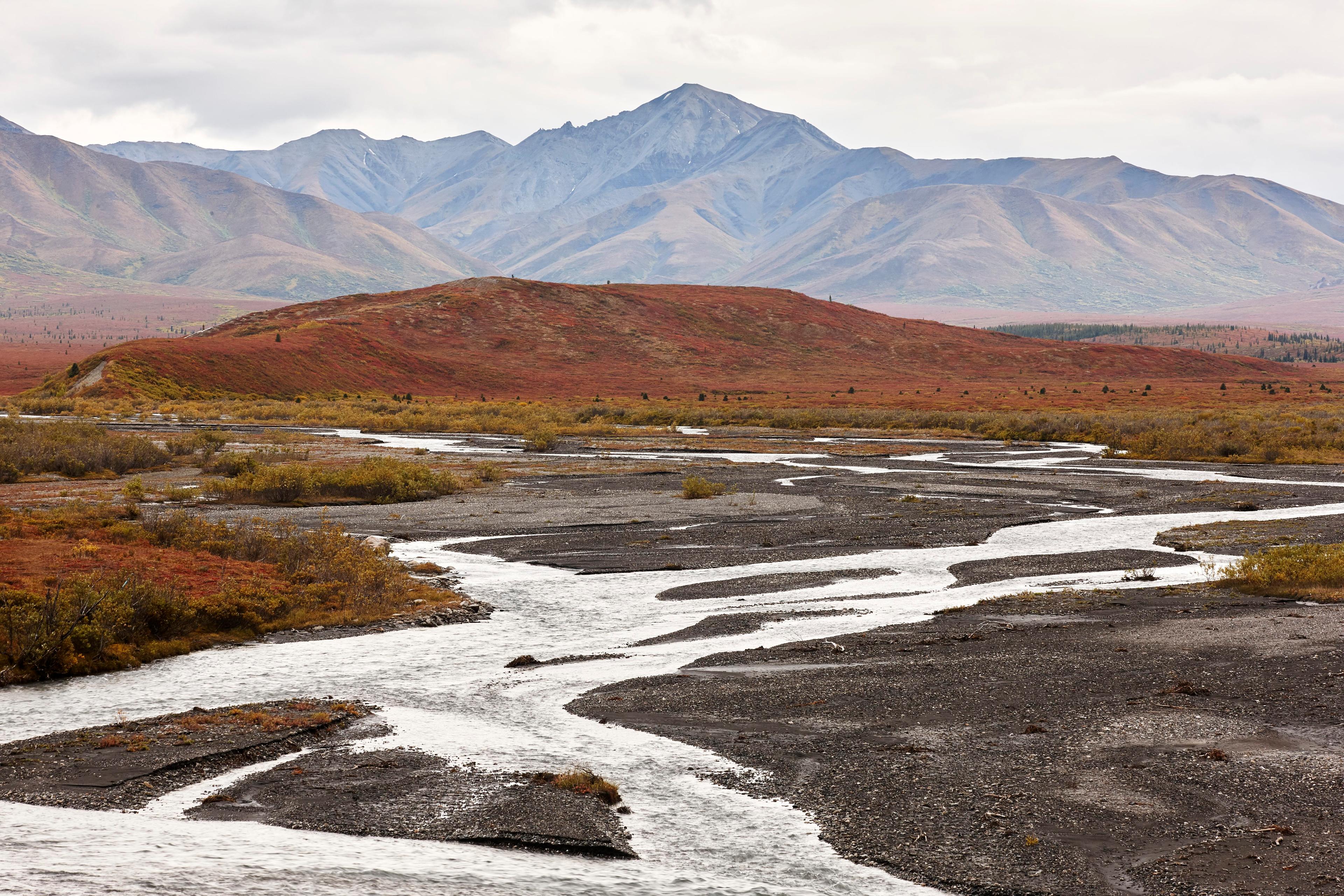 Photo of a river with gravel banks winding through a red autumn landscape, mountains in the background under a cloudy sky.