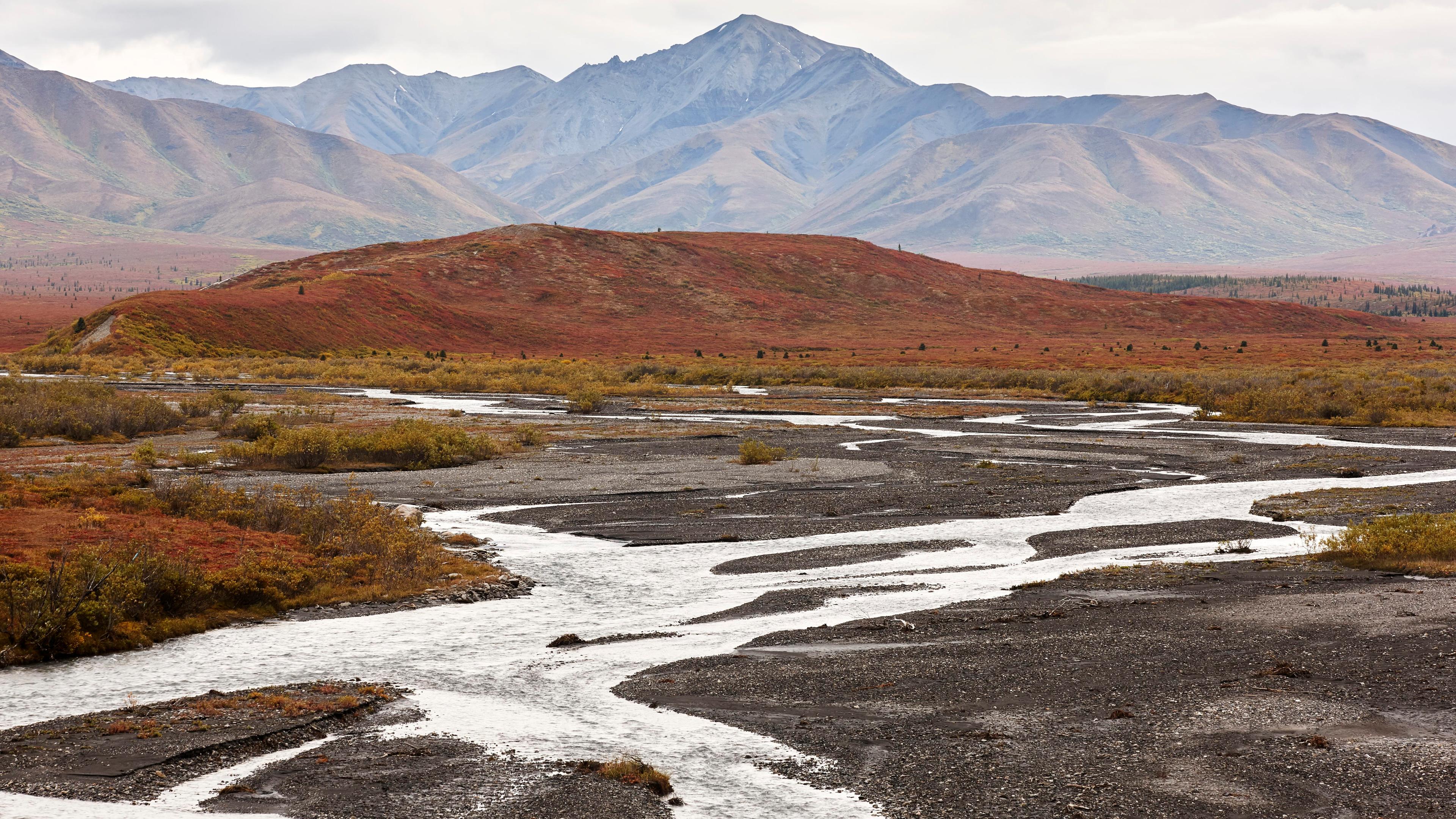 Photo of a river with gravel banks winding through a red autumn landscape, mountains in the background under a cloudy sky.
