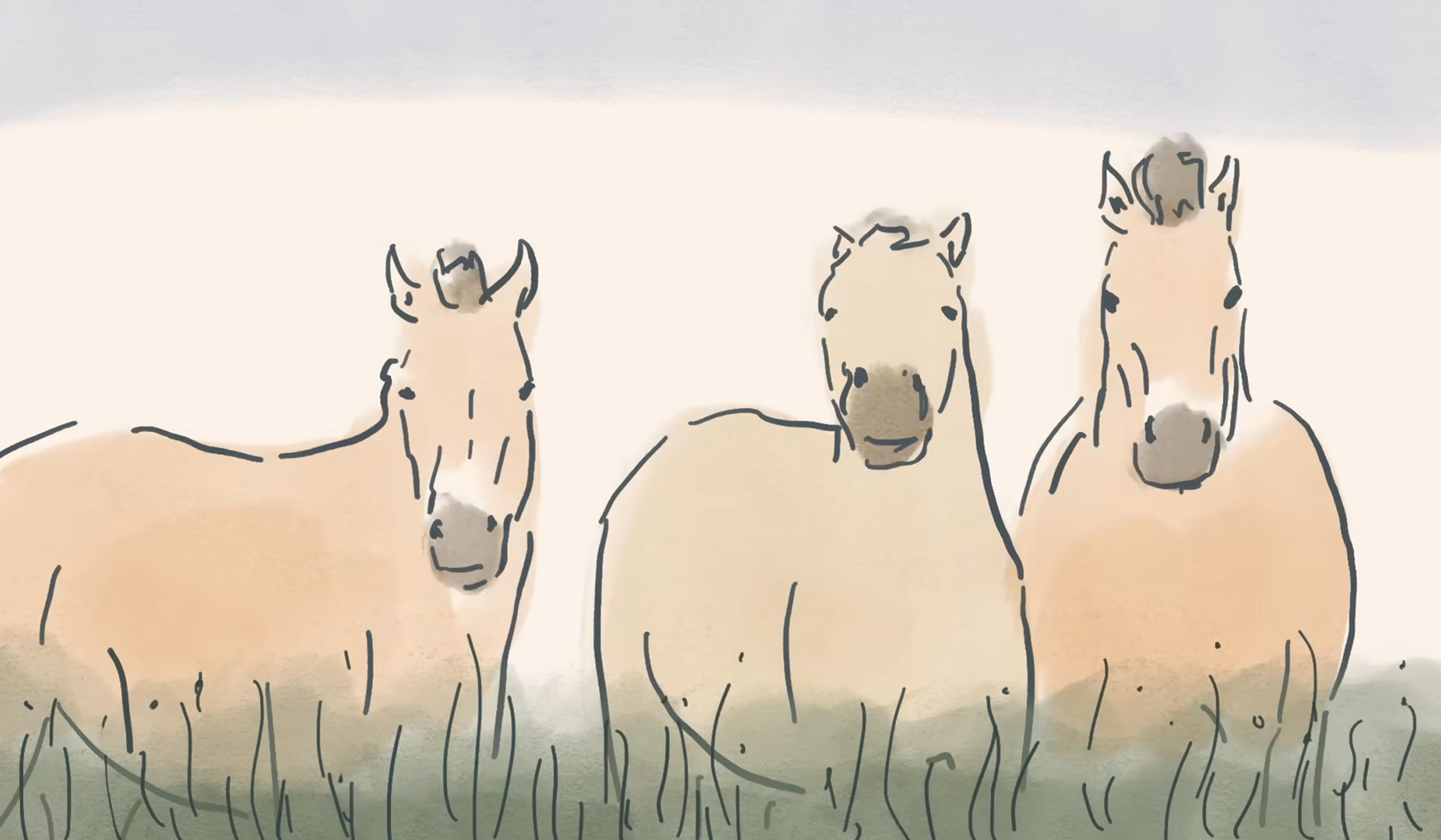 Illustration of three beige horses standing in a field, with green grass at their feet and a soft grey and white sky background.